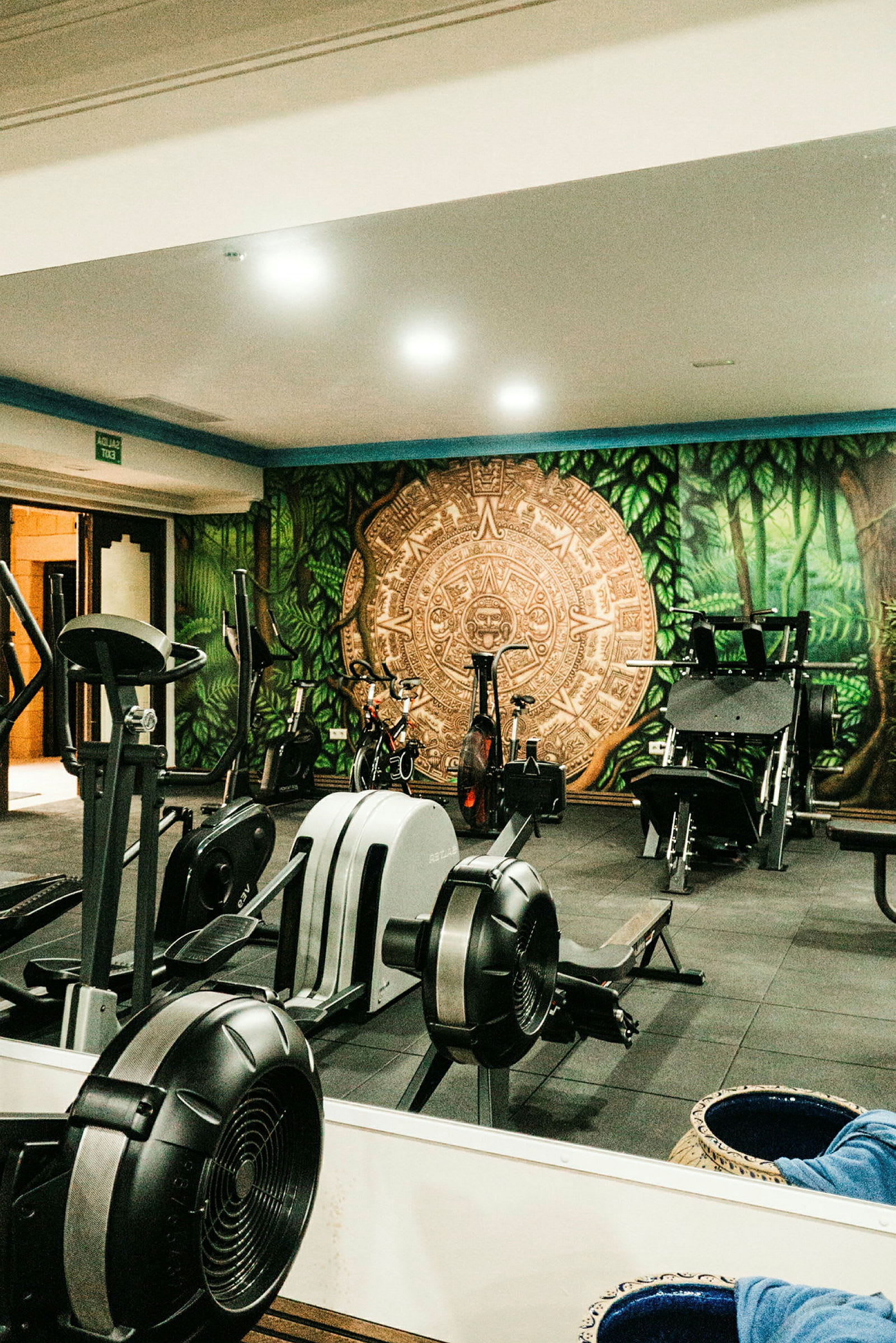 Ett gymrum med träningsutrustning, inklusive roddmaskiner och cyklar, samt en dekorativ muralmålning på väggen med en aztekisk kalender och motiv av skog. (AI-genererad text)