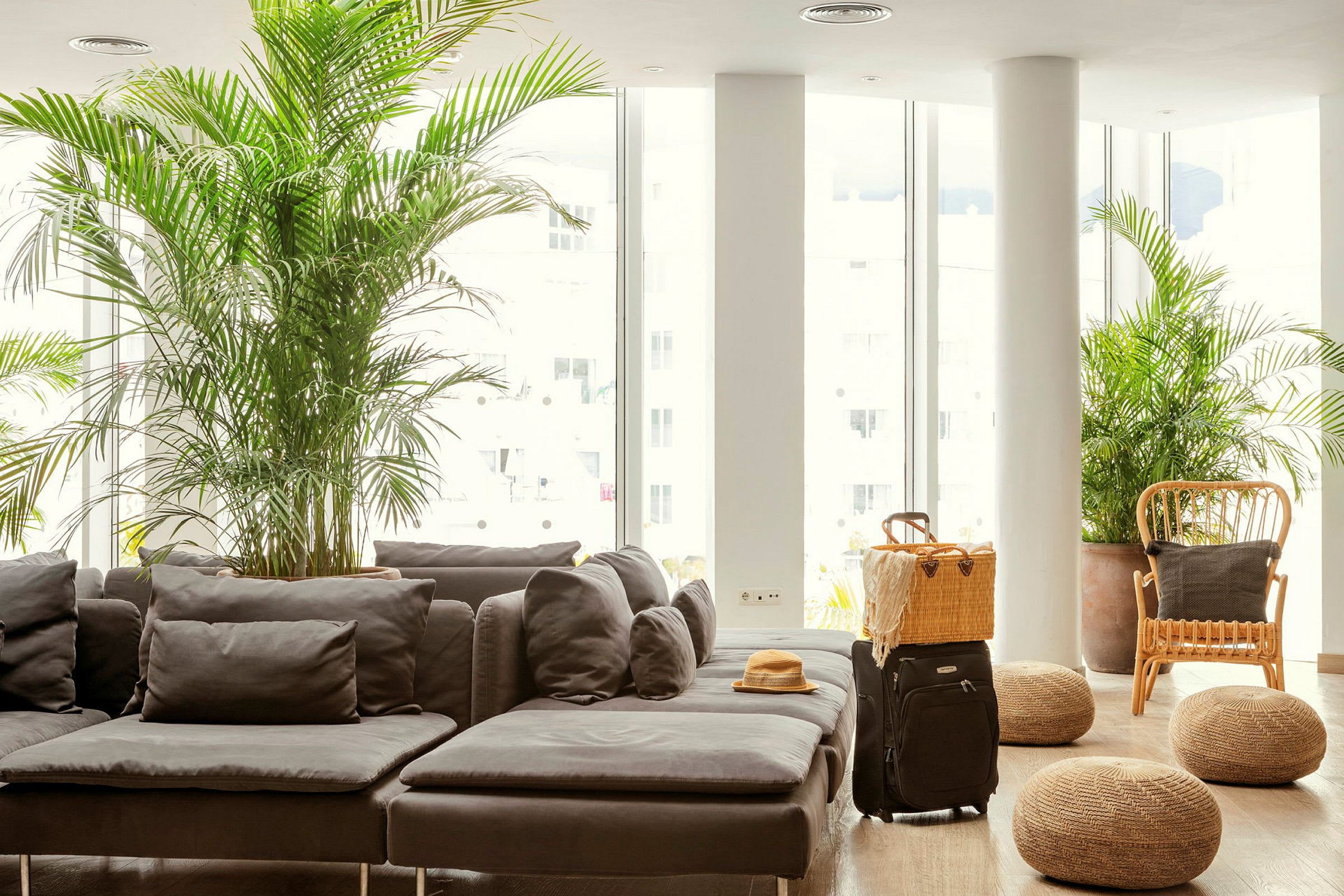 En lounge med grå soffa, växter och resväska. (AI-genererad text)