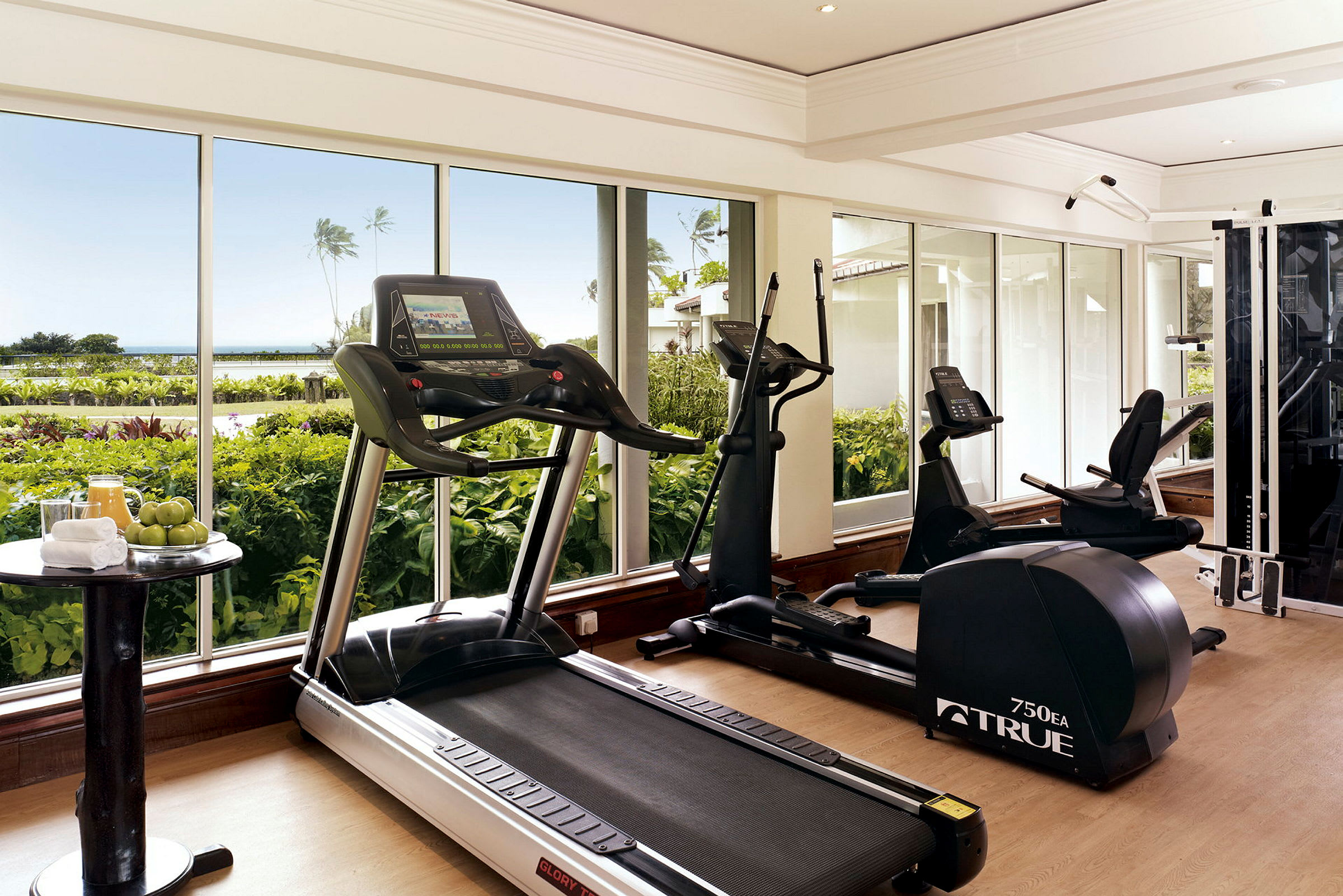 Ett gym med träningsmaskiner och stora fönster som visar en vy av grönska och palmer utanför. (AI-genererad text)