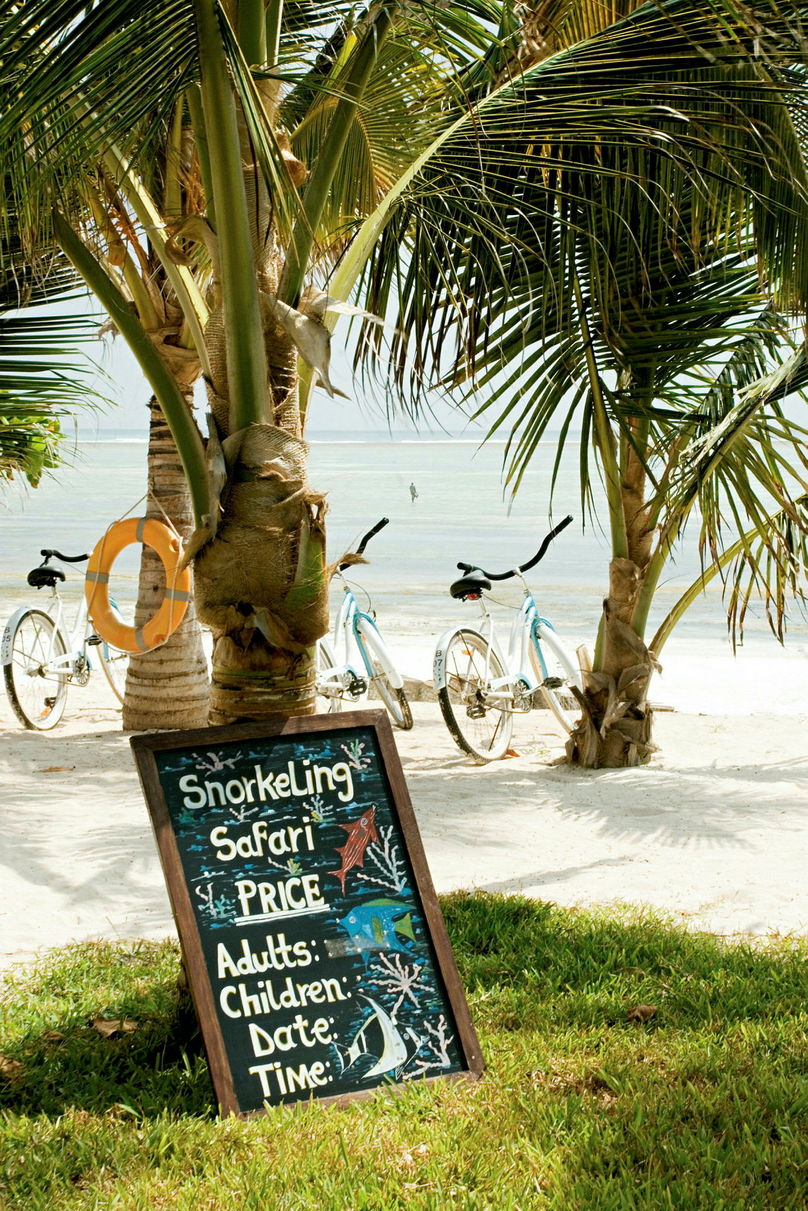 En skylt med texten 'Snorkeling Safari' står på en strand nära palmer och cyklar. (AI-genererad text)