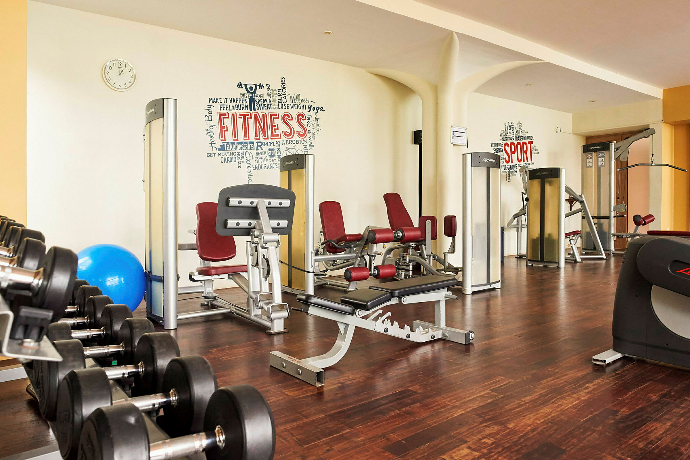 Bild som visar ett gym med träningsmaskiner, hantlar och en pilatesboll. (AI-genererad text)