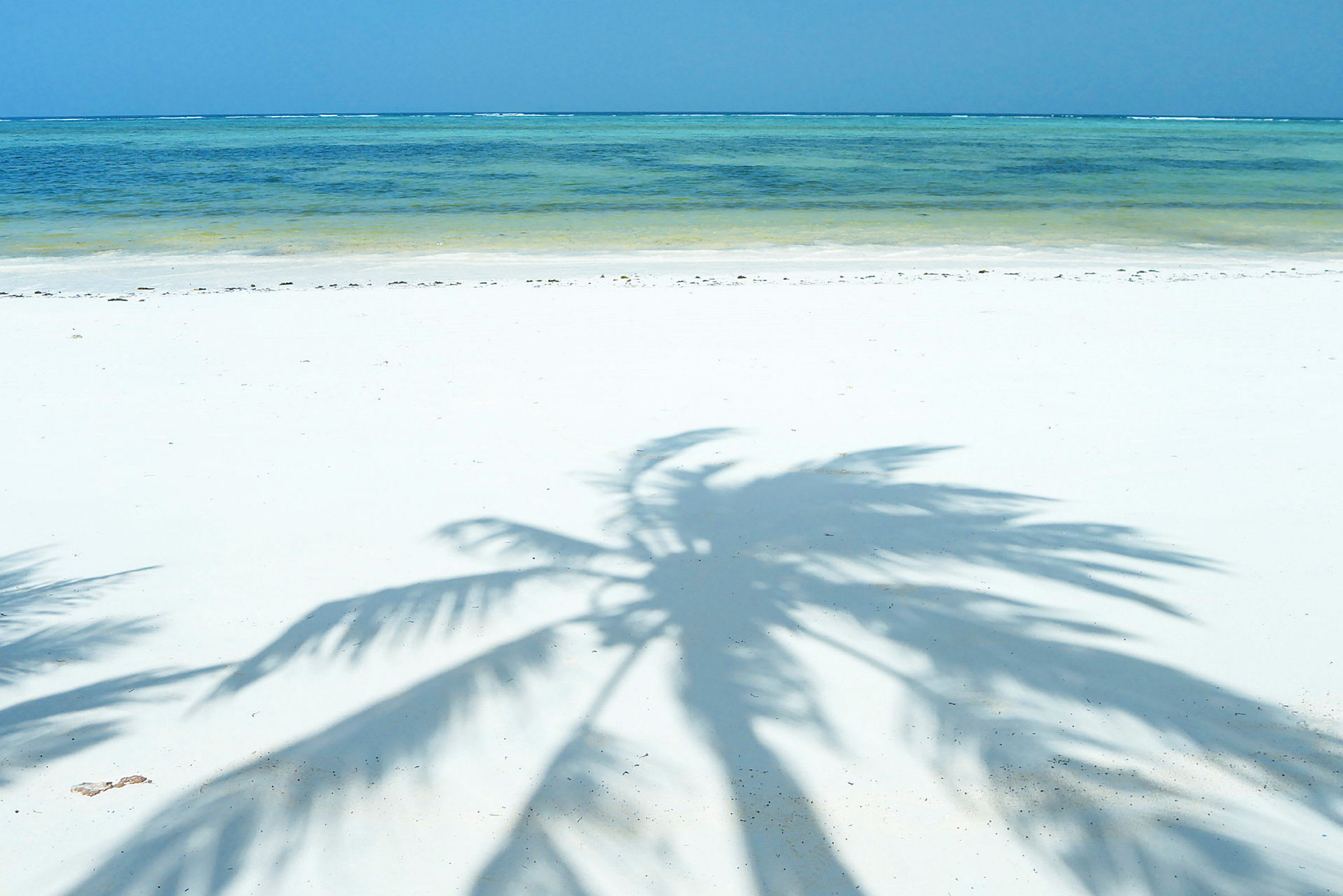 Skugga av palmblad på en vit sandstrand med turkost hav i bakgrunden. (AI-genererad text)