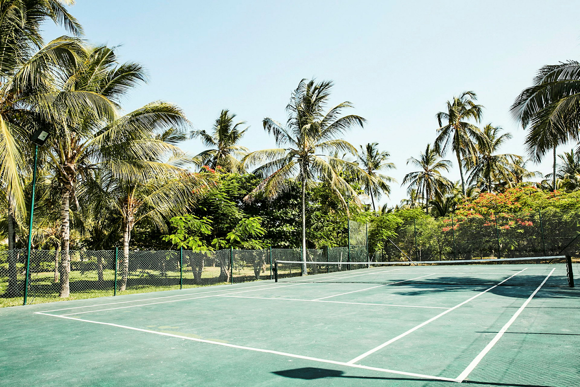 Tennisbana omgiven av palmer och träd i en tropisk miljö. (AI-genererad text)