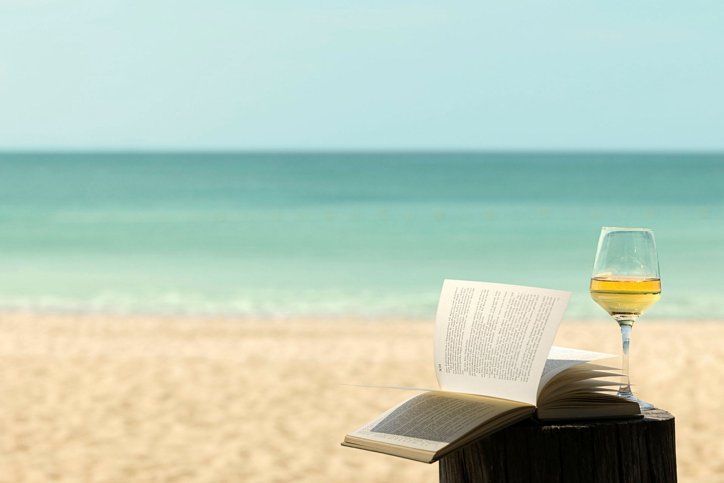 En öppen bok och ett glas vin står på ett bord vid en strand med havet i bakgrunden. (AI-genererad text)