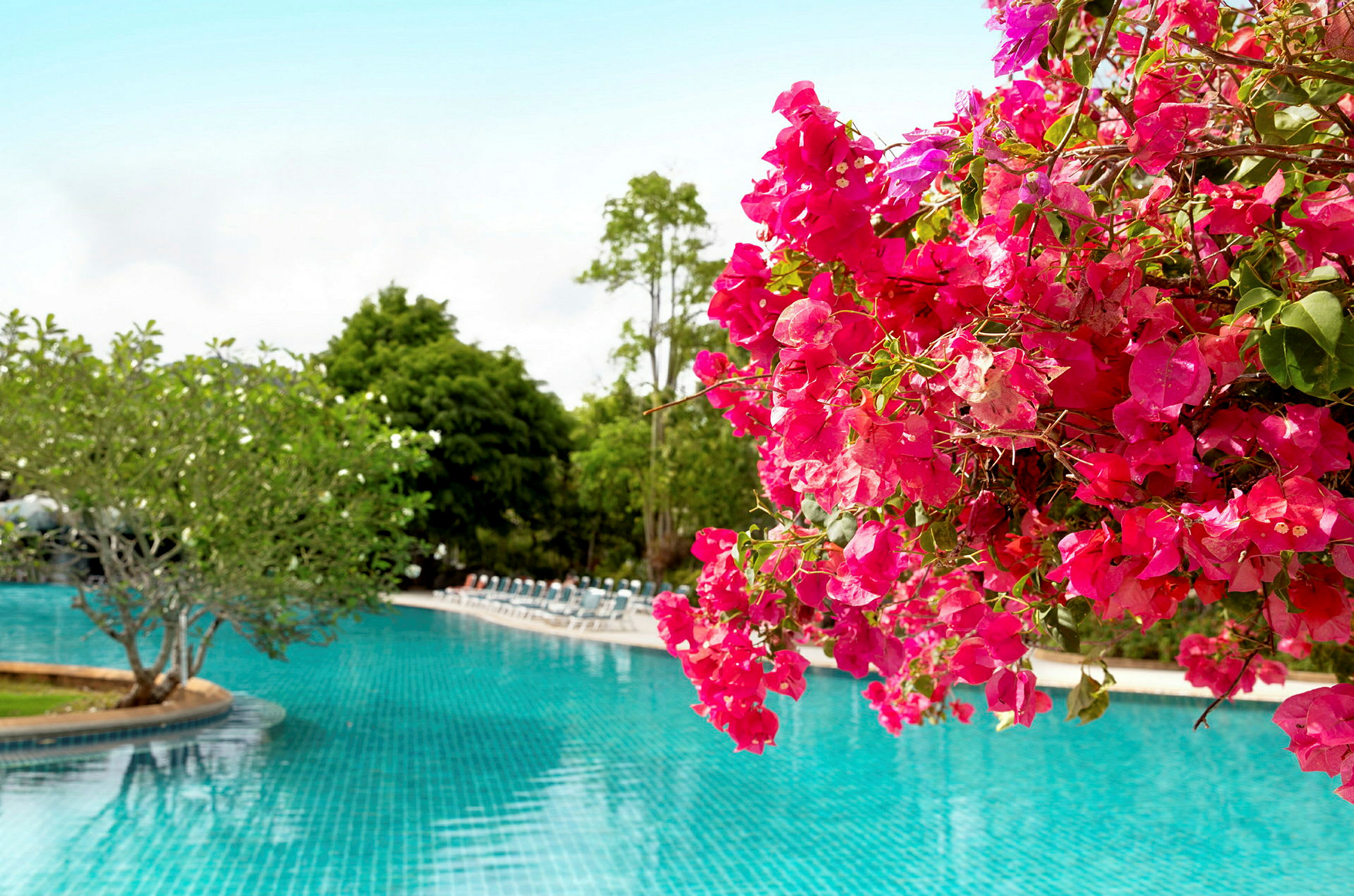 Rosa blommor vid en pool i en trädgård. (AI-genererad text)