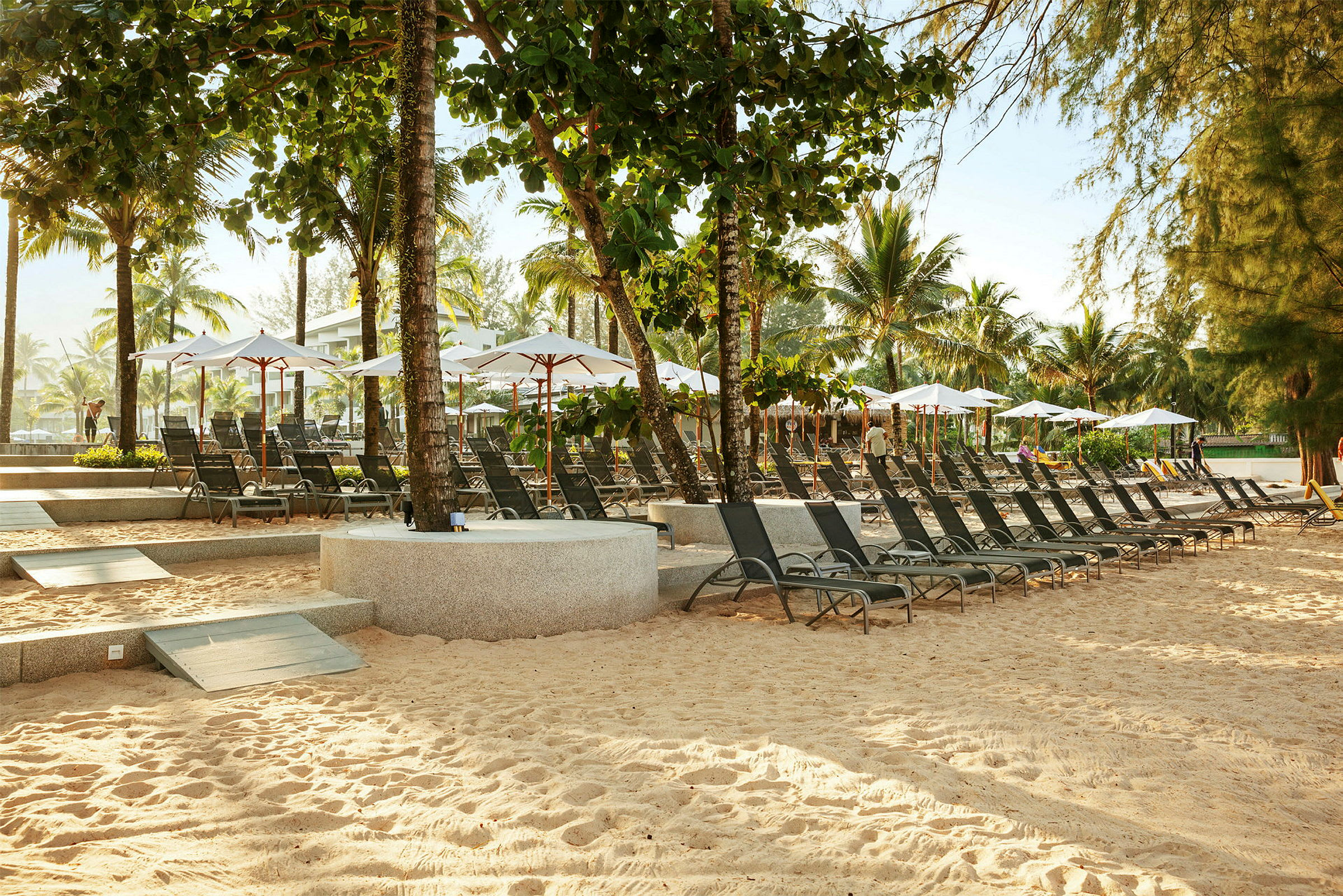 Solstolar och parasoller på en strand med sand och palmträd. (AI-genererad text)