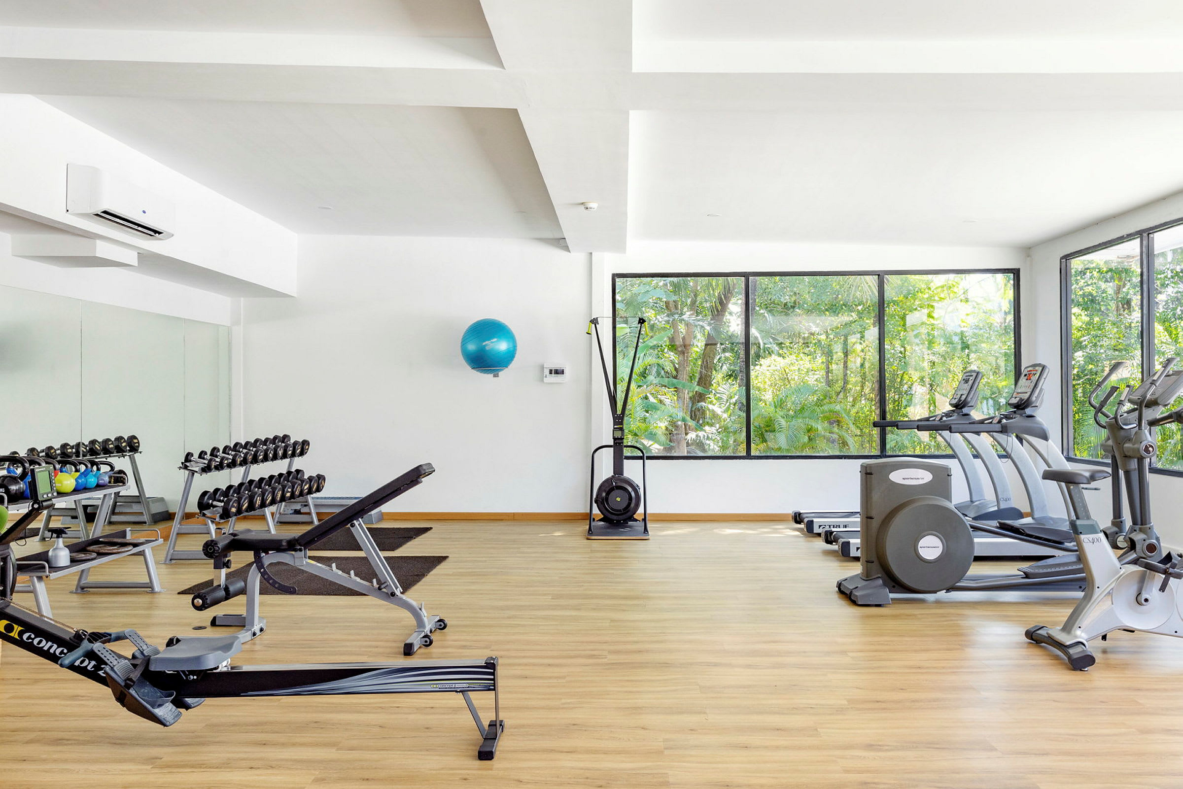 Ett gym med träningsmaskiner och vikter. Fönster visar utsikt över grönska. (AI-genererad text)