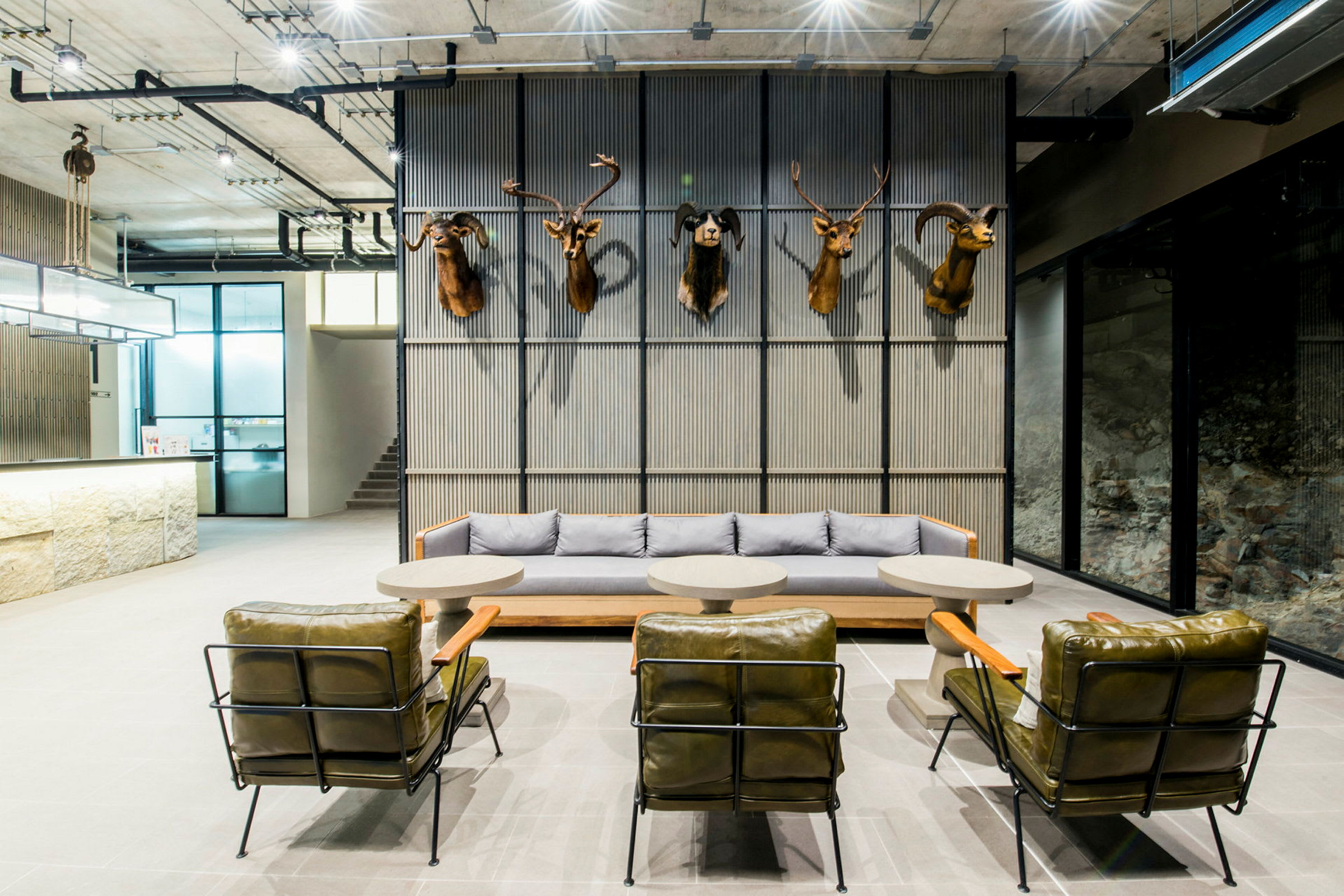 Inomhusmiljö med en modern lounge, dekorerad med fåtöljer och en soffa framför en vägg med monterade djurhuvuden. (AI-genererad text)