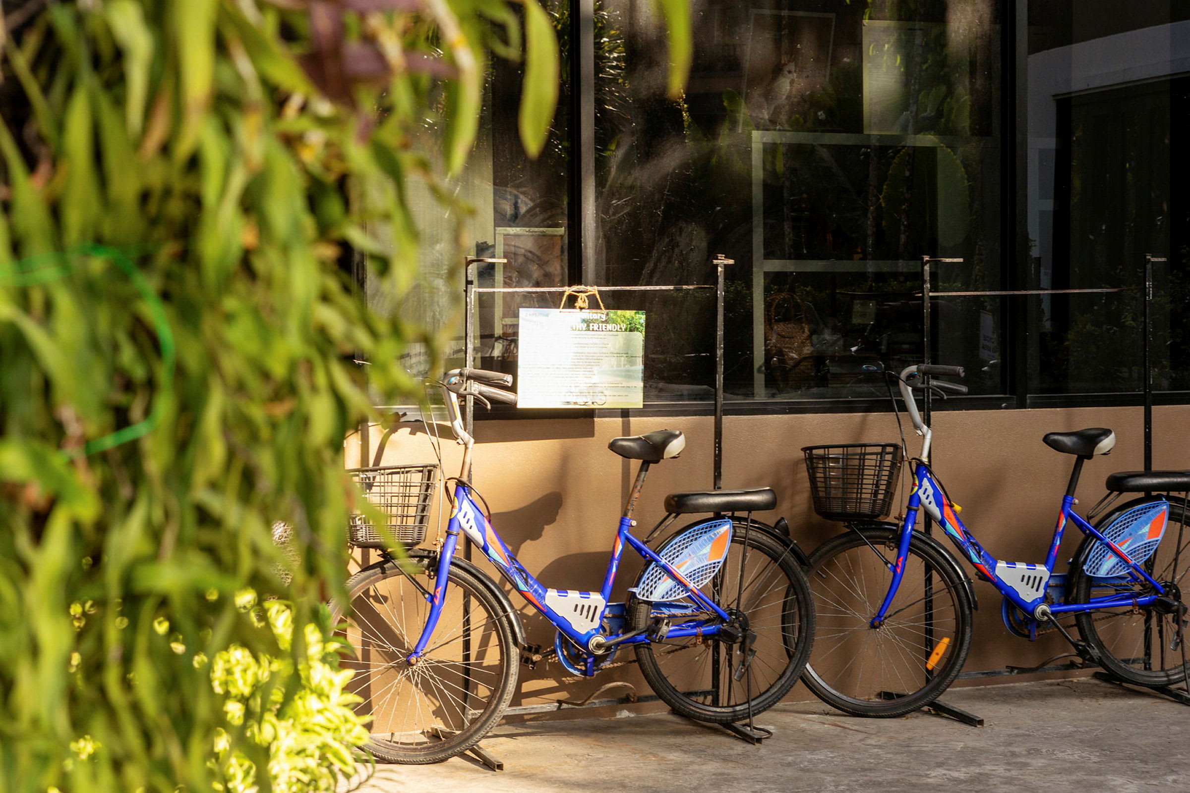 Tre blå cyklar med korgar parkerade vid en byggnad med glasfönster. Växter skymtar i förgrunden. (AI-genererad text)