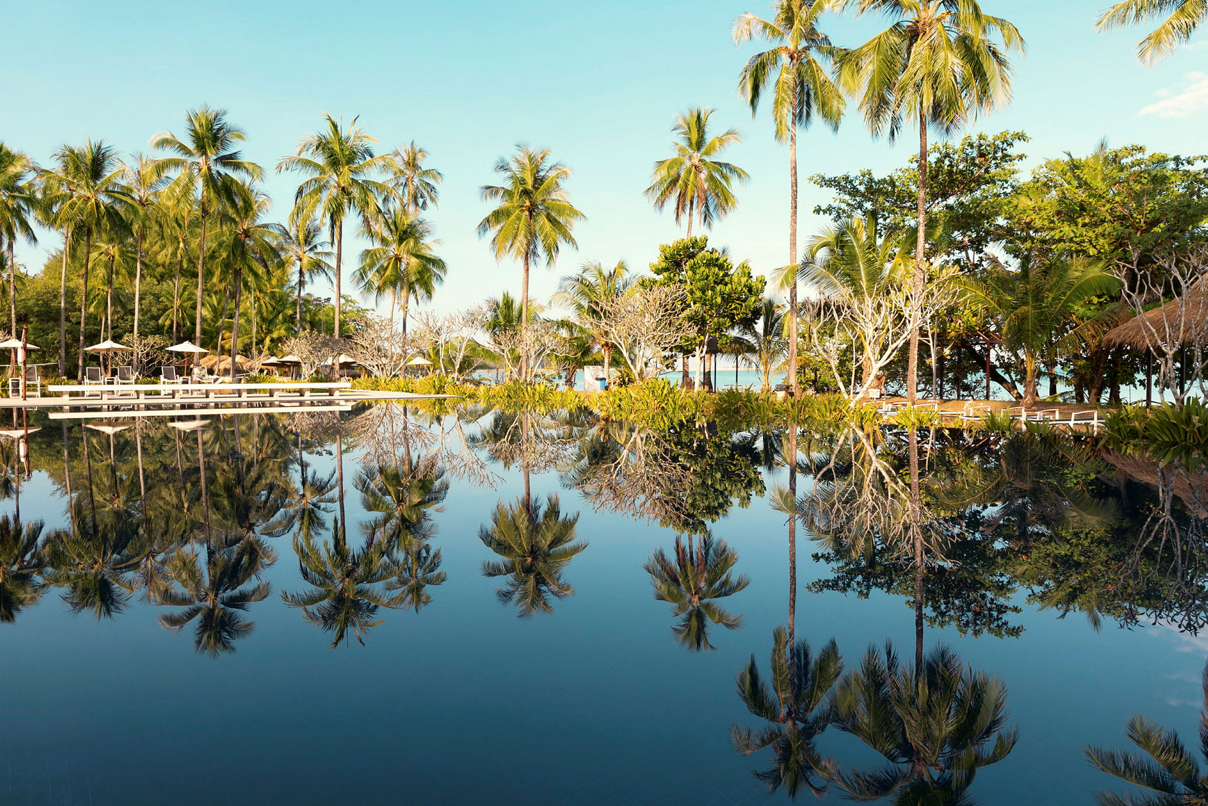 Pool med palmträd som reflekteras i vattnet. (AI-genererad text)