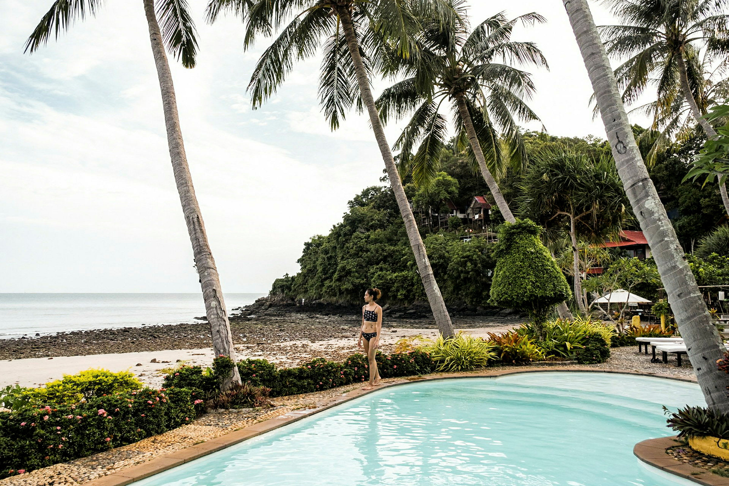 En swimmingpool framför en strand med palmer och grönska i bakgrunden. (AI-genererad text)