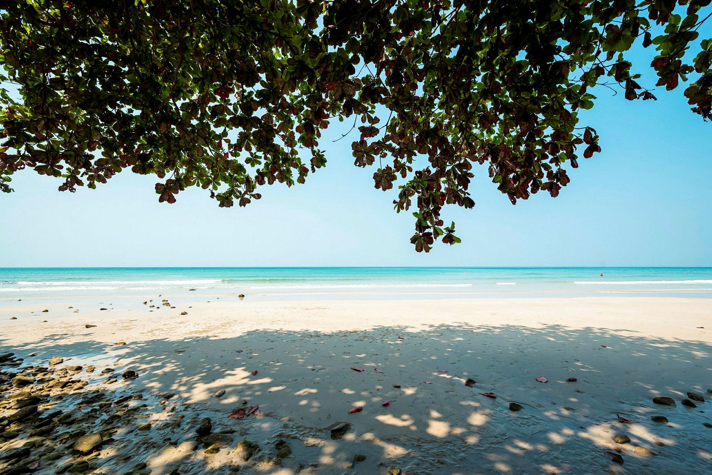 Strand med blått hav i bakgrunden och grenar med gröna blad täcker delvis himlen. (AI-genererad text)