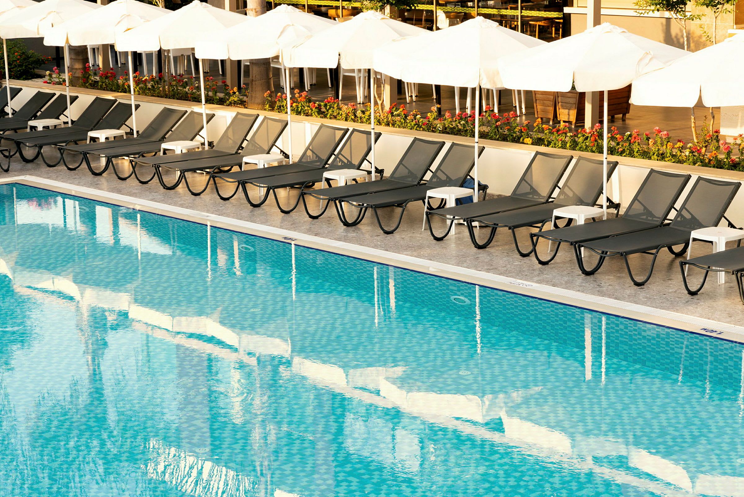 Solstolar och parasoller vid en klarblå pool. (AI-genererad text)