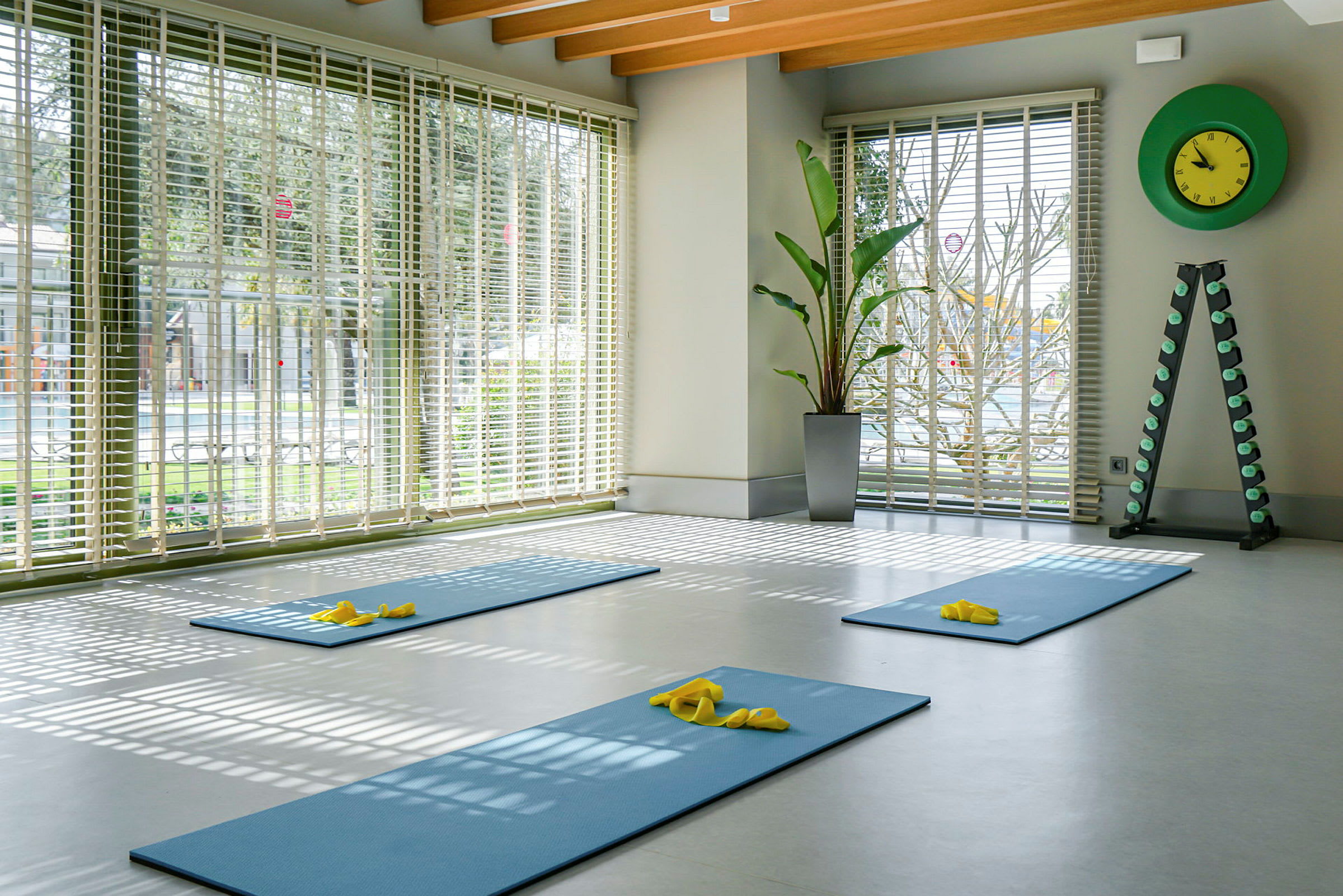 Ett rum med yogamattor, fönster med persienner, en växt och ett stativ med vikter. (AI-genererad text)