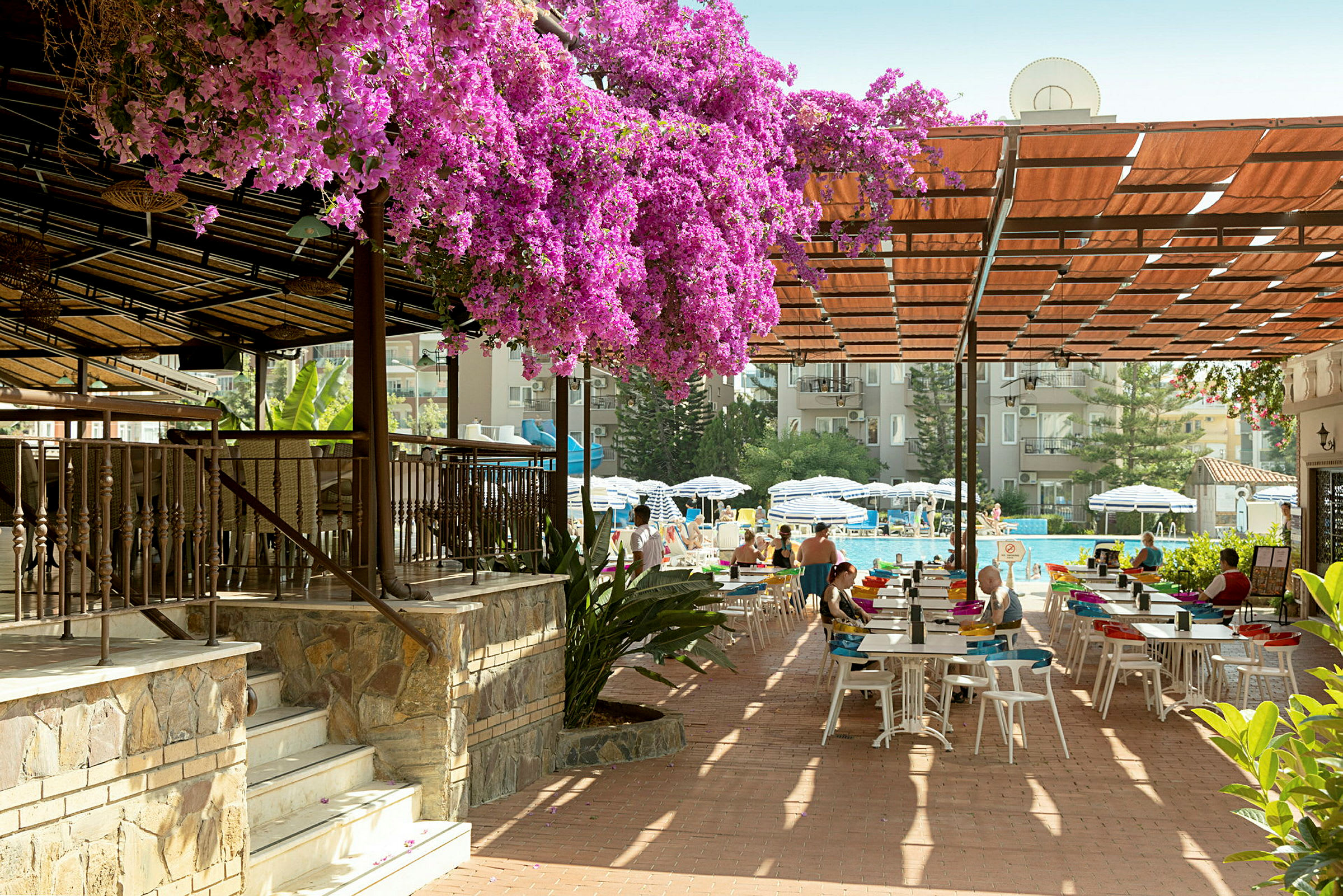 En utomhusdukning under pergola, med blommande rosa växter och en pool i bakgrunden. (AI-genererad text)