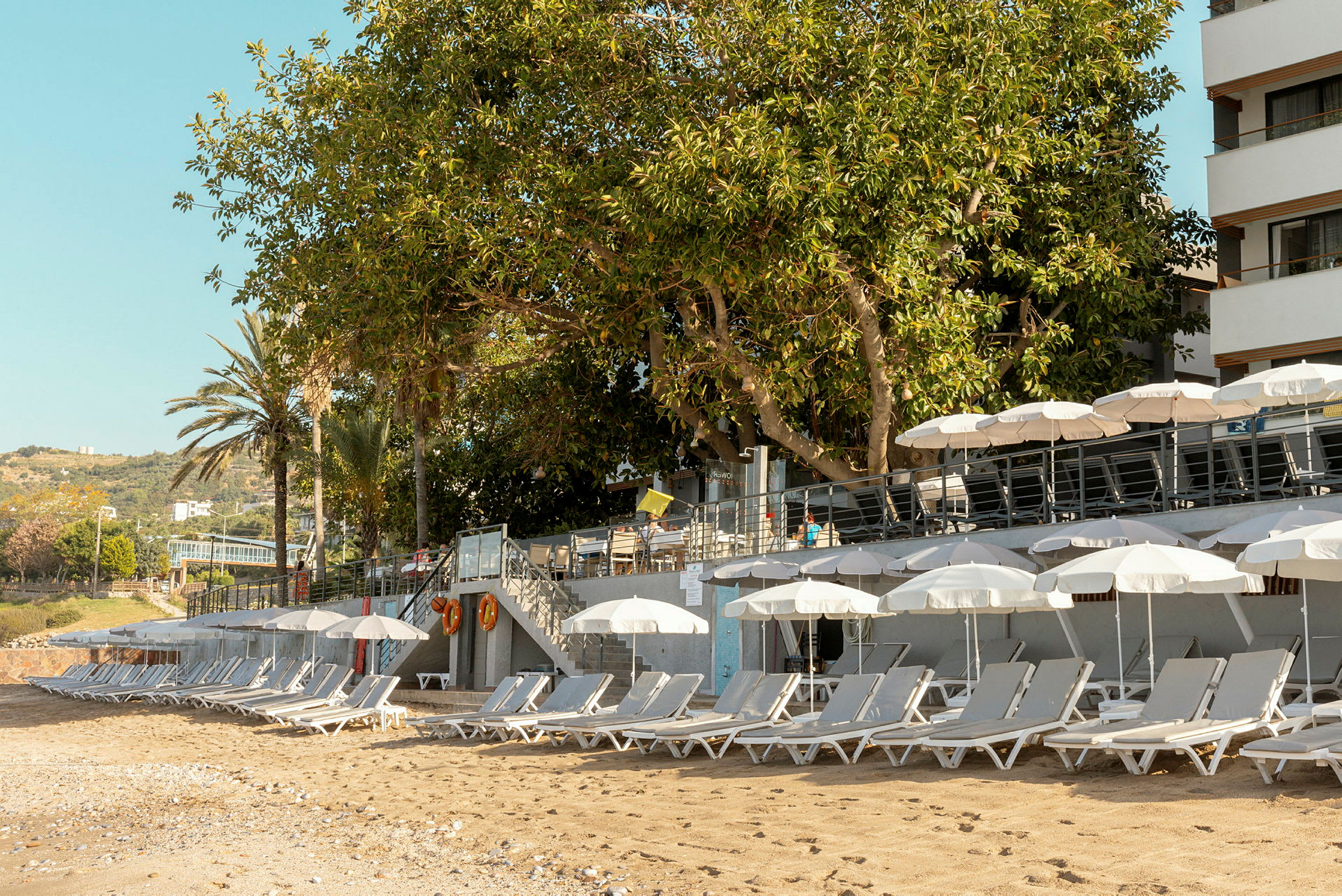 Solstolar och parasoller på en sandstrand med träd och byggnader i bakgrunden. (AI-genererad text)