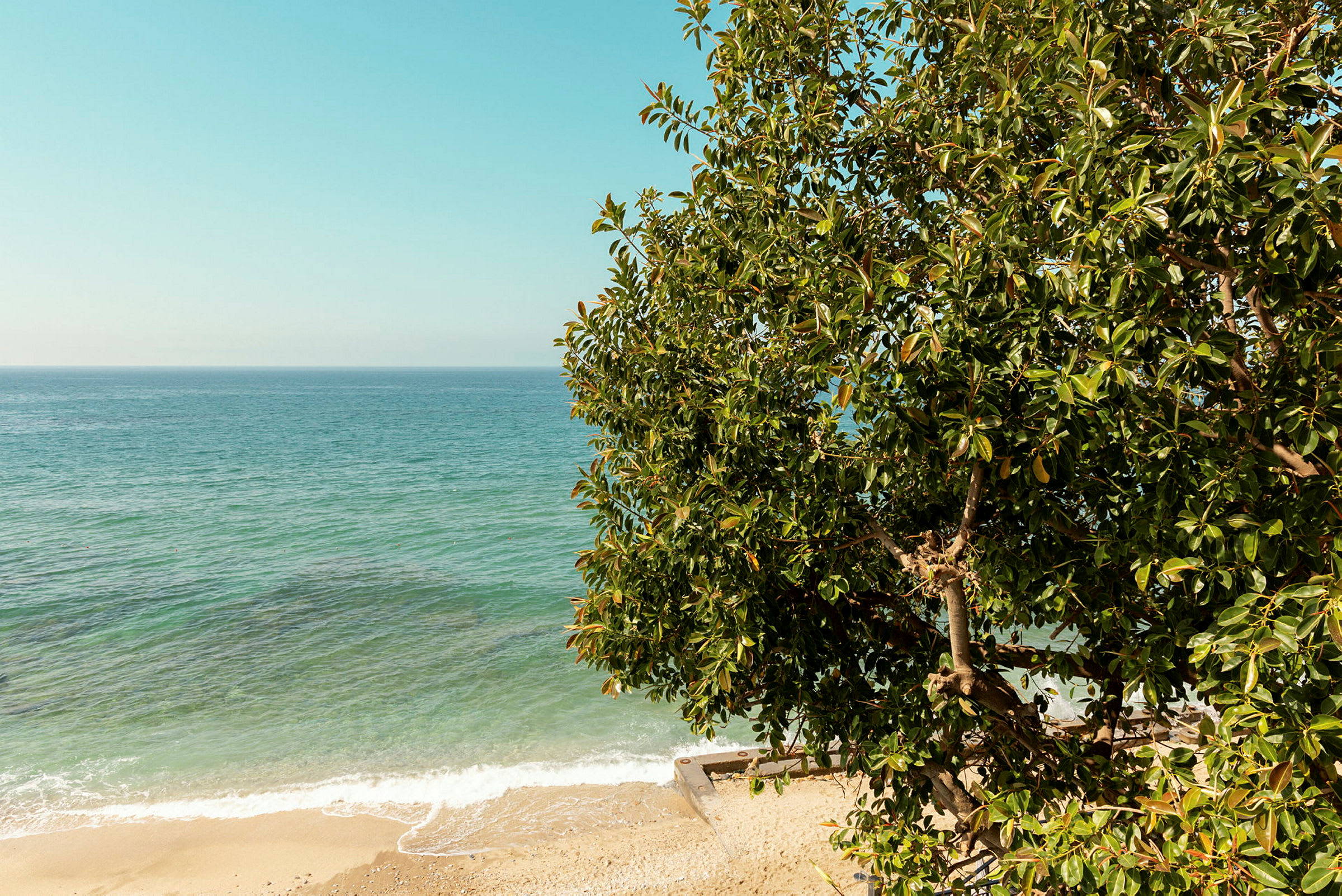 Utsikt över en sandstrand med klart vatten och ett träd i förgrunden. (AI-genererad text)