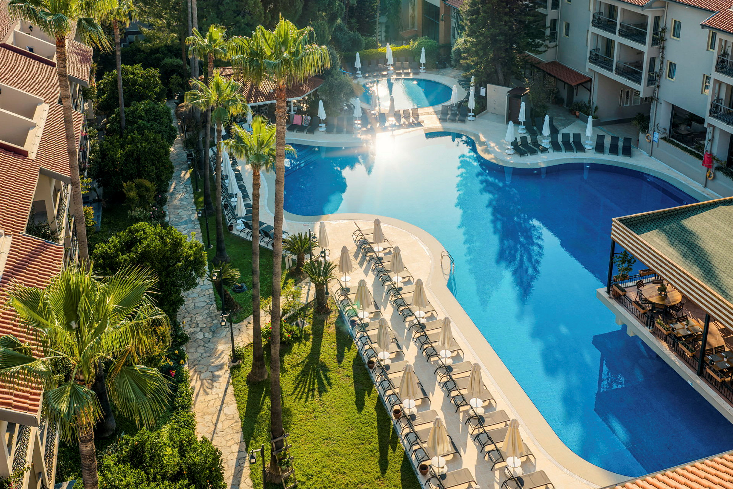 Ett hotellområde med pool, solstolar och palmer. (AI-genererad text)