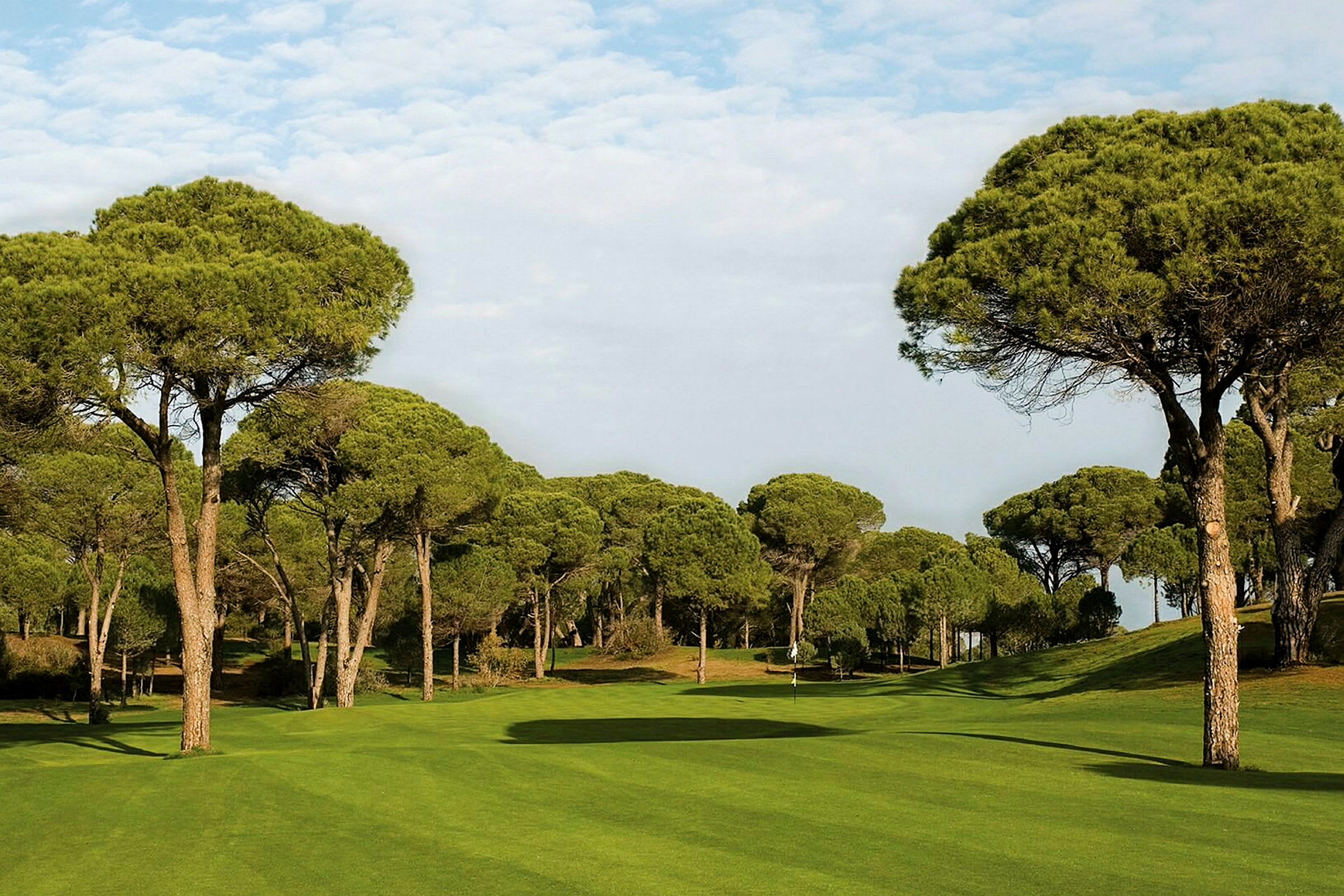 En grön golfbana omgiven av höga tallar. (AI-genererad text)