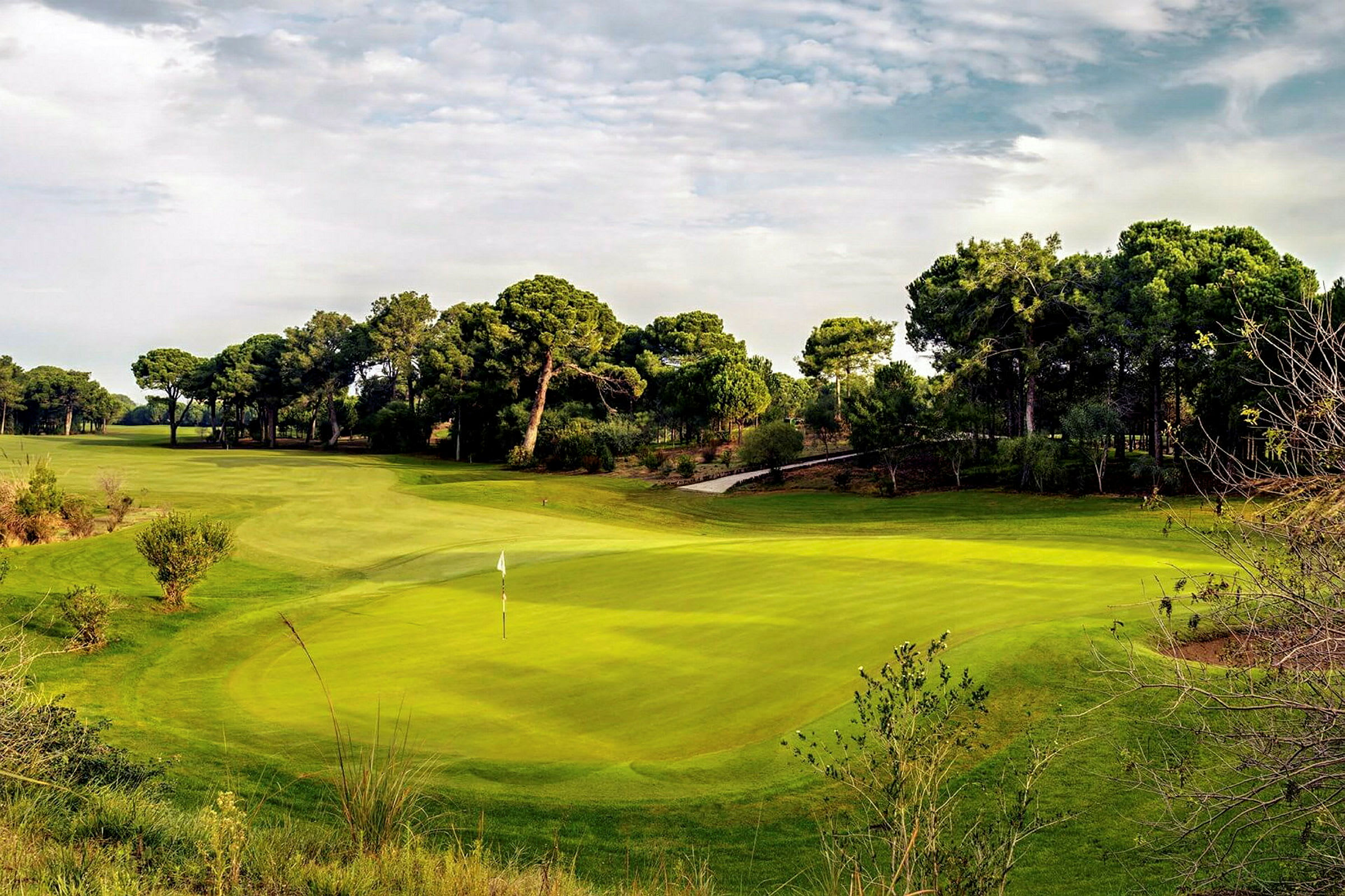 En golfgreen omgiven av gräsmattor och träd. (AI-genererad text)