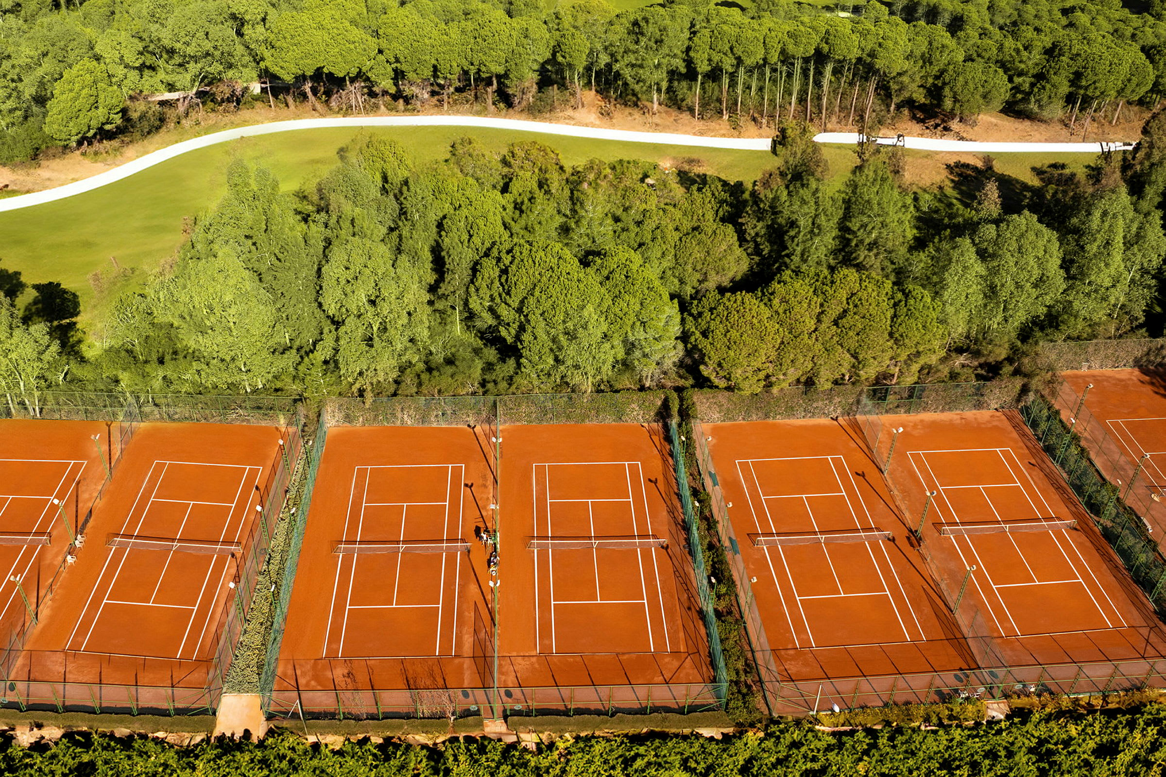 Bild av flera tennisbanor som är omgivna av träd. (AI-genererad text)