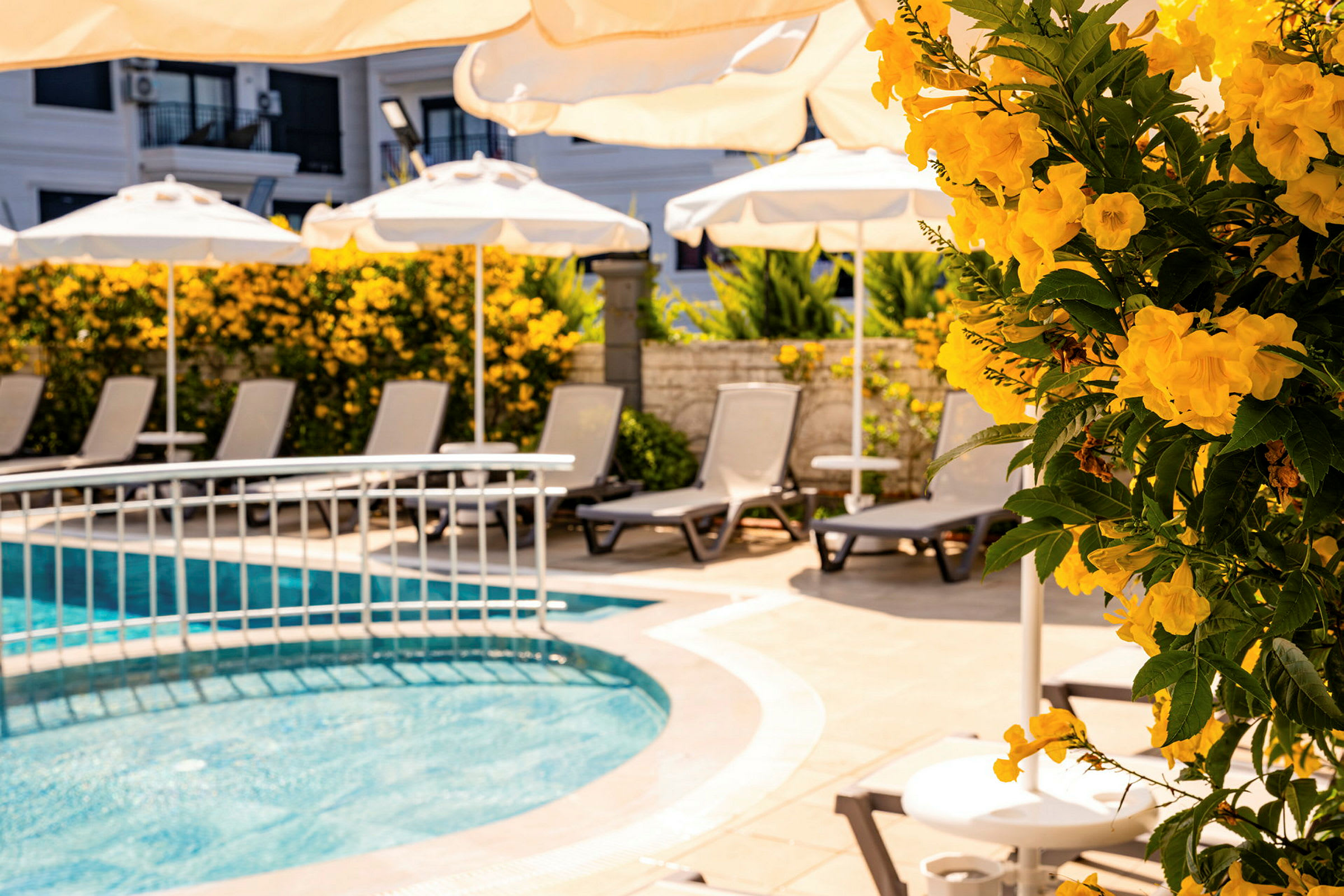 Bild på en pool med solstolar och parasoller runt omkring. Framför syns blommande gula blommor. (AI-genererad text)