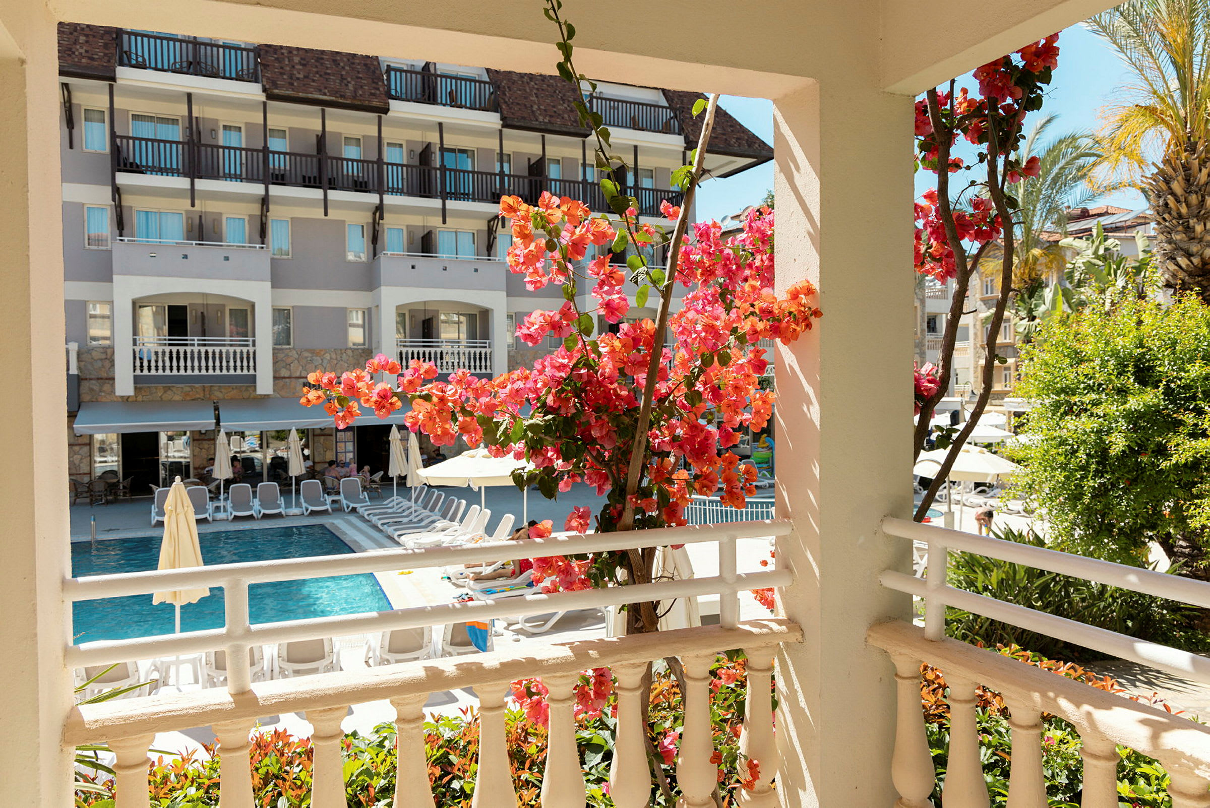 Utsikt från en terrass mot en pool omgiven av solstolar, med blommande bougainvillea i förgrunden. (AI-genererad text)