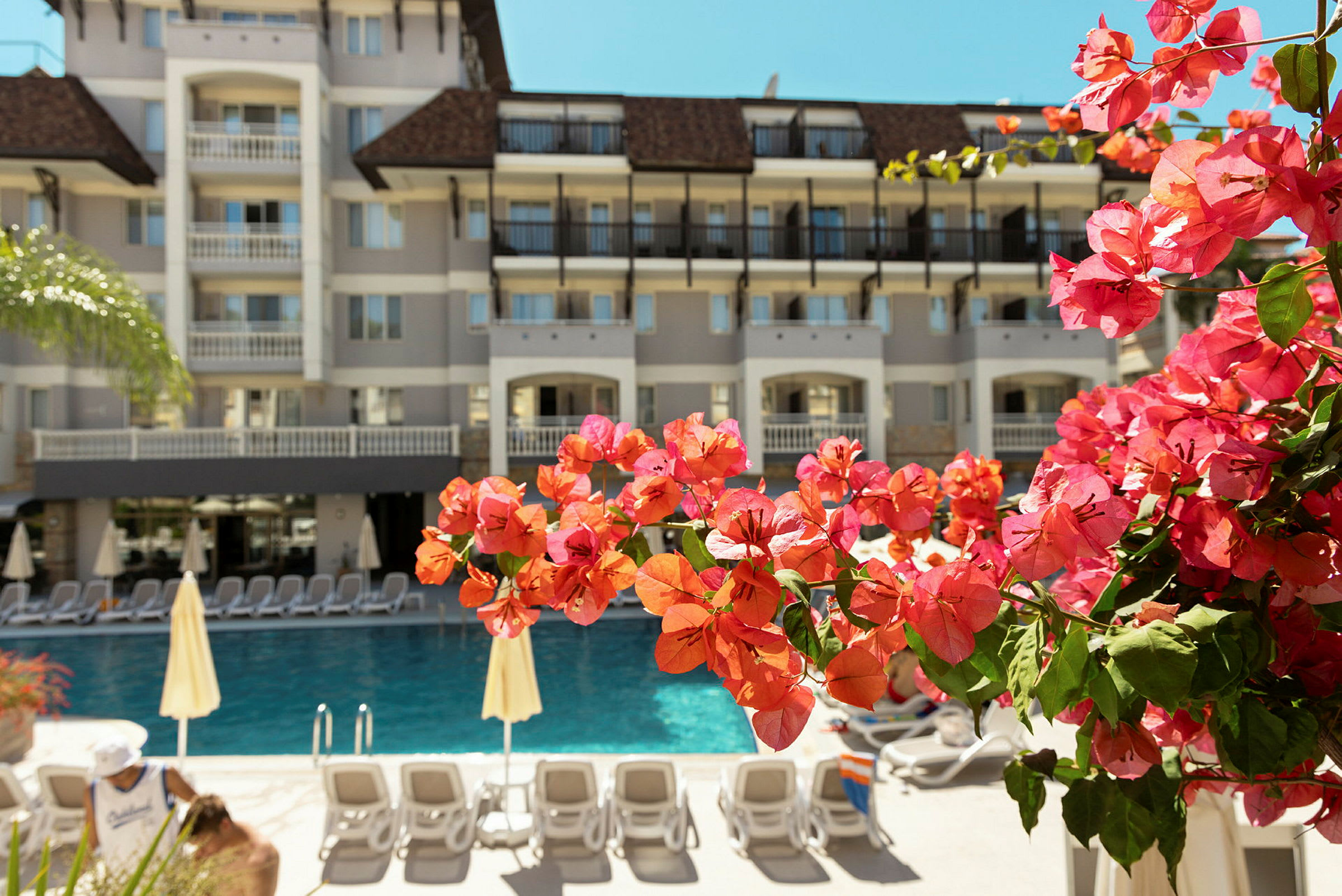 Bild av en hotellbyggnad vid en pool, med närbild på röda blommor i förgrunden. (AI-genererad text)