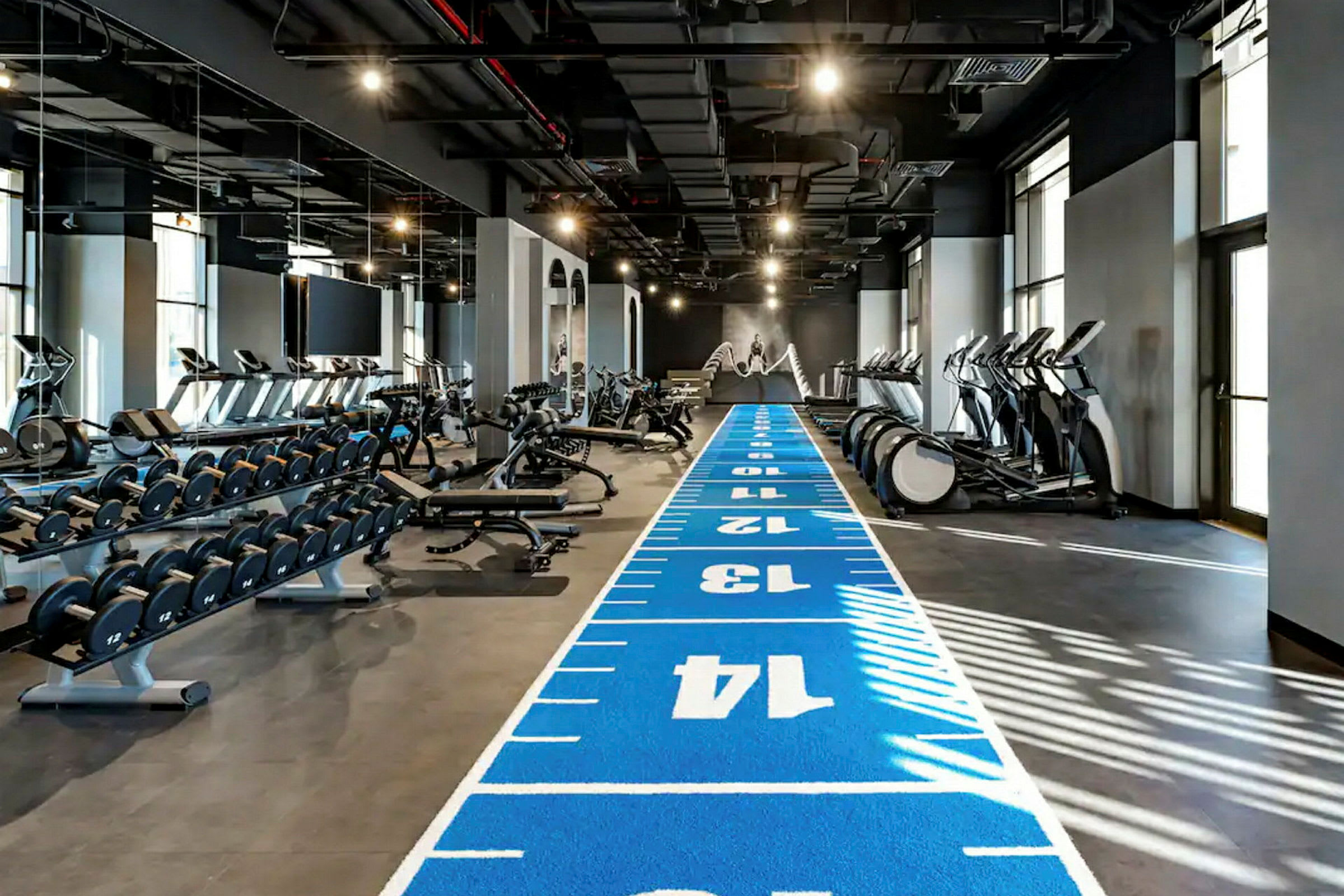 Ett gym med träningsutrustning, vikter och en blå löpmatta markerad med siffror. (AI-genererad text)