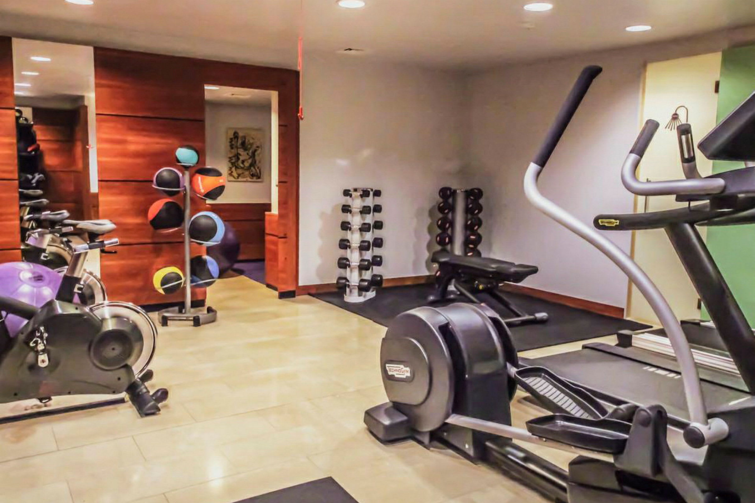 Ett mindre gym med träningsmaskiner, hantlar och medicinbollar. (AI-genererad text)