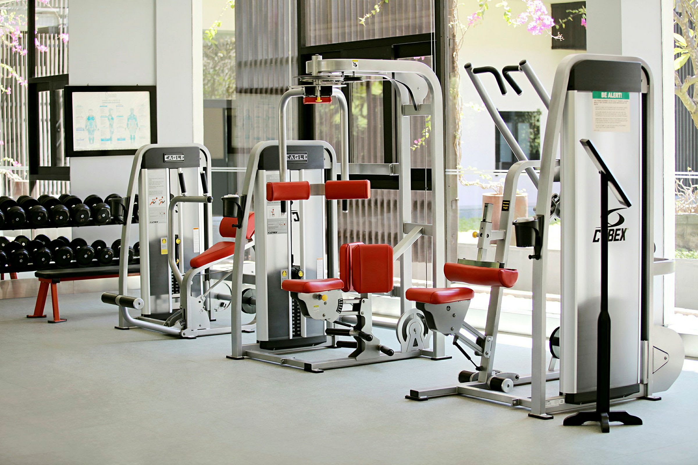 Bild på ett gym med träningsmaskiner och hantlar. (AI-genererad text)