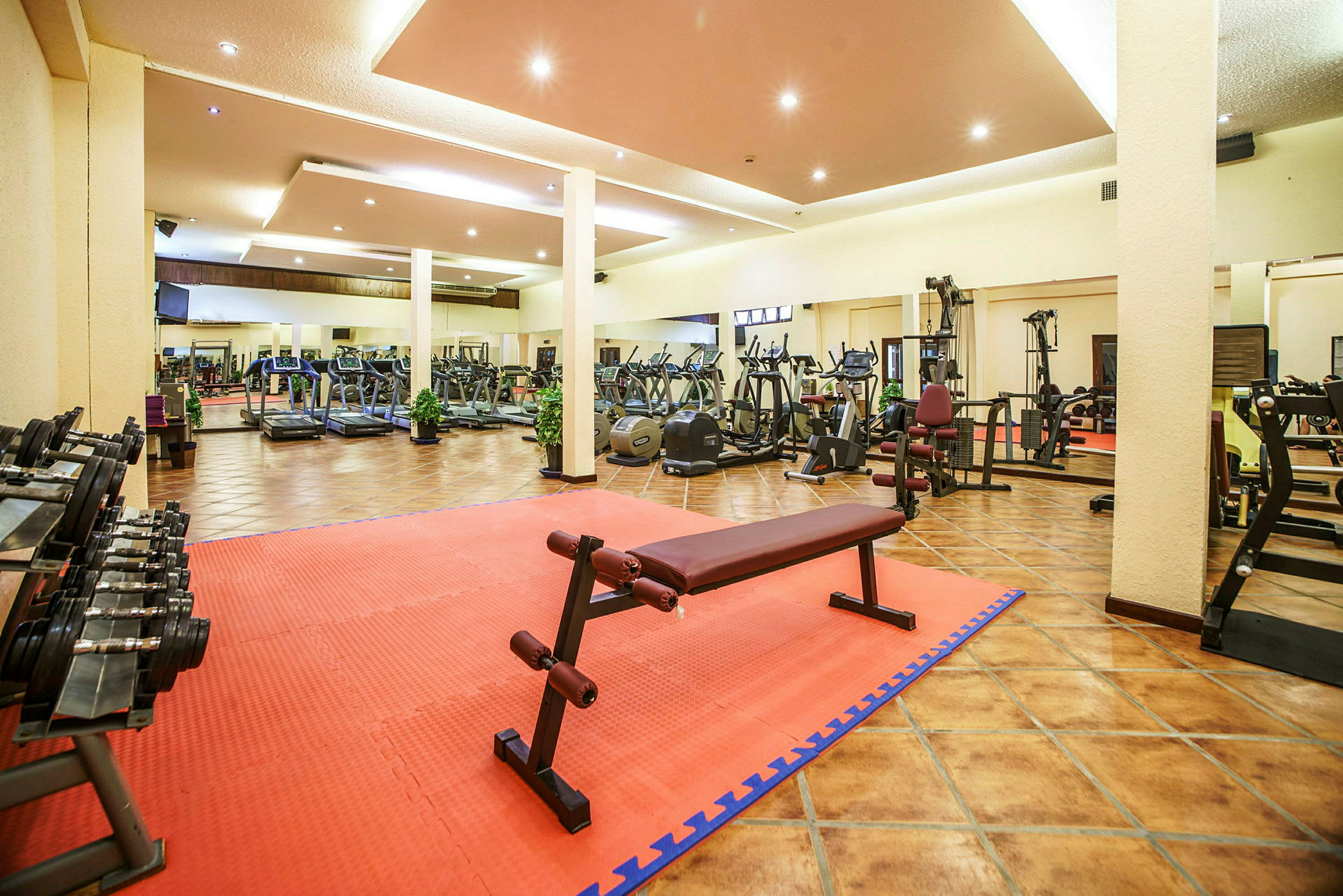 Gym med träningsmaskiner, fria vikter och bänk på en matta. (AI-genererad text)