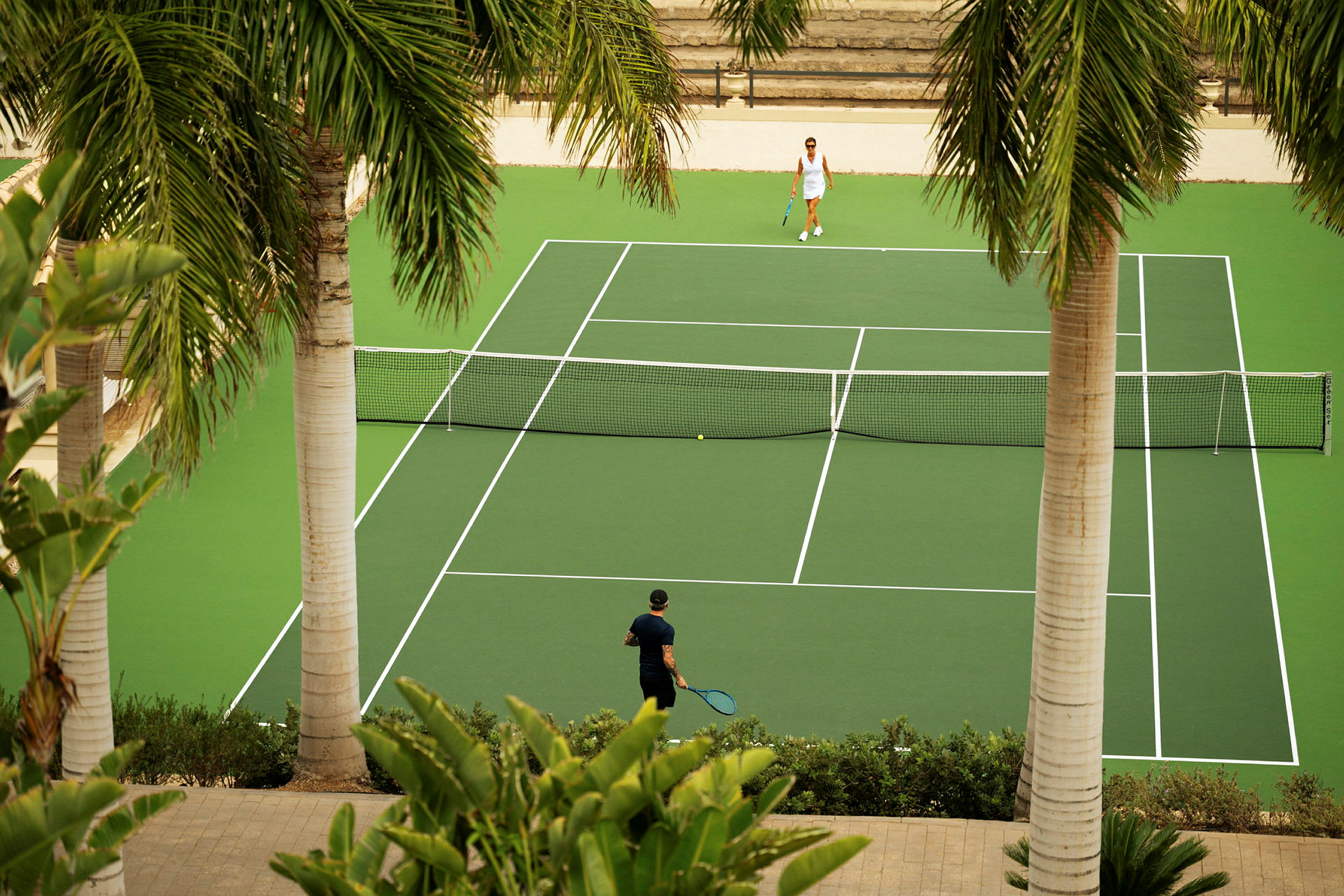 Två människor spelar tennis på en grön tennisbana omgiven av palmer. (AI-genererad text)