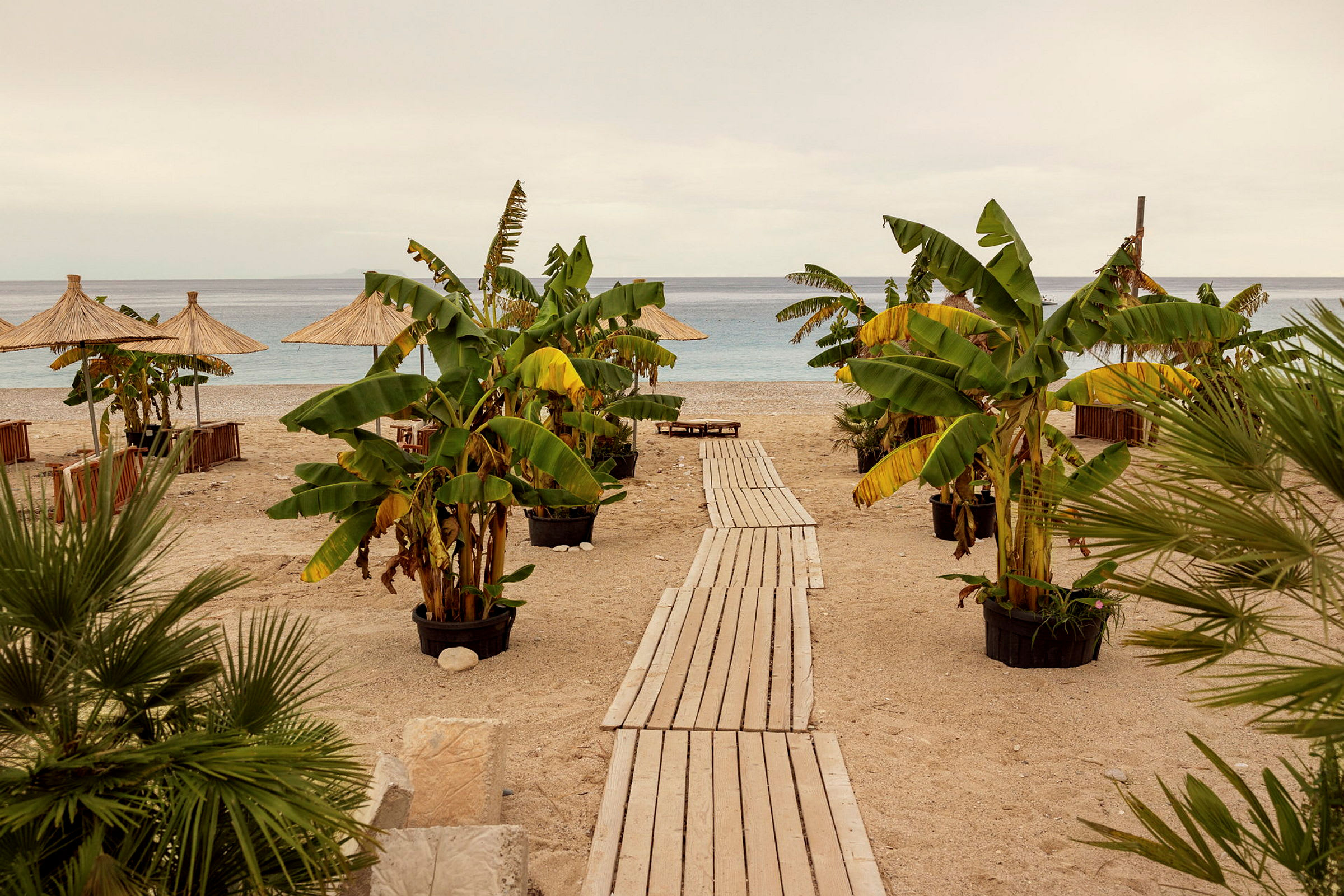 Strand med solparasoller, bananträd och en träbrygga som leder mot havet. (AI-genererad text)