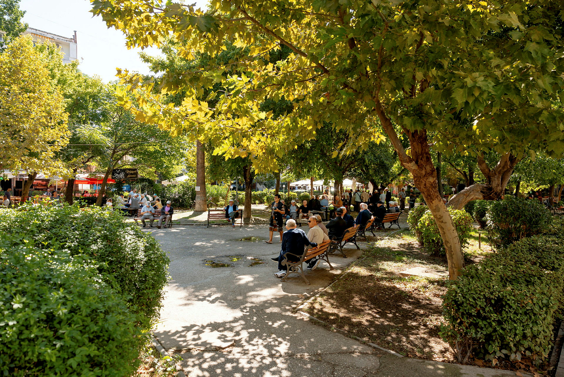 En grön park med bänkar och människor. (AI-genererad text)