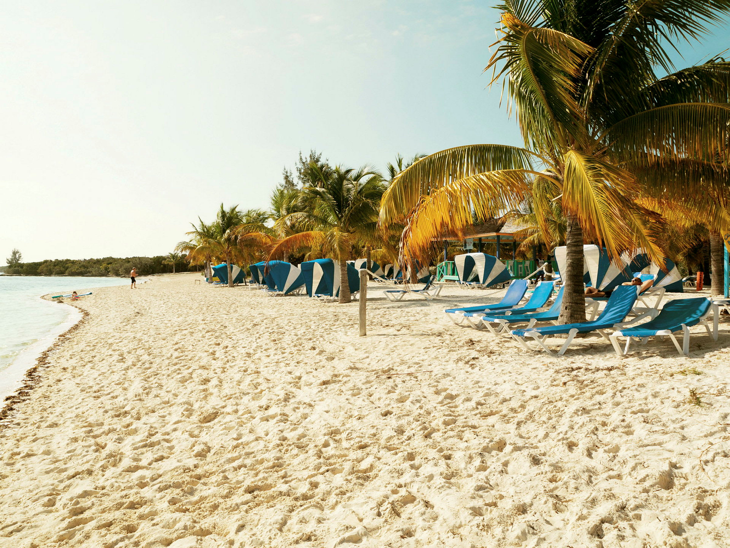 Strand med solstolar under palmer och vid havet. (AI-genererad text)