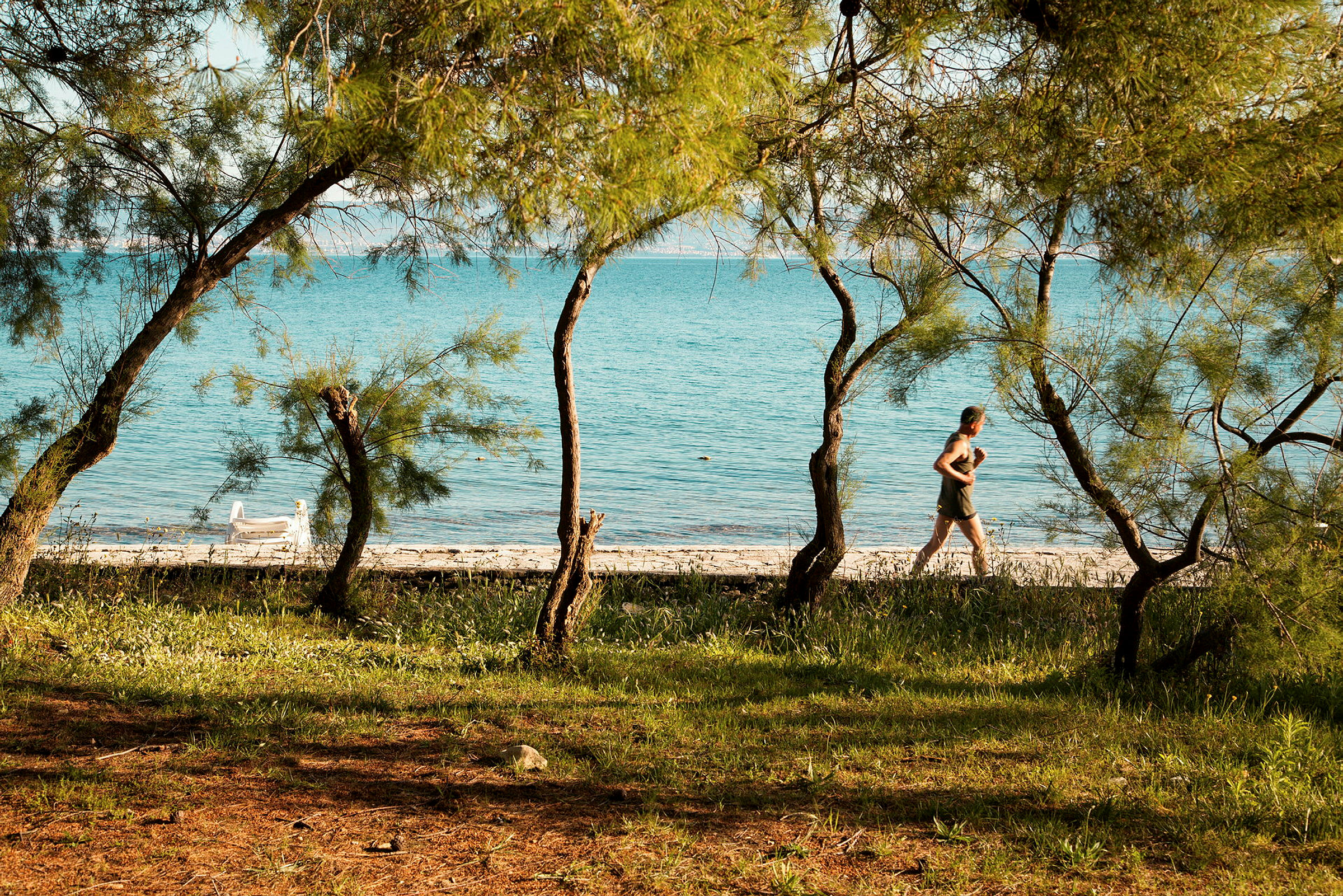 En person joggar längs en strand med gröna träd i förgrunden. (AI-genererad text)