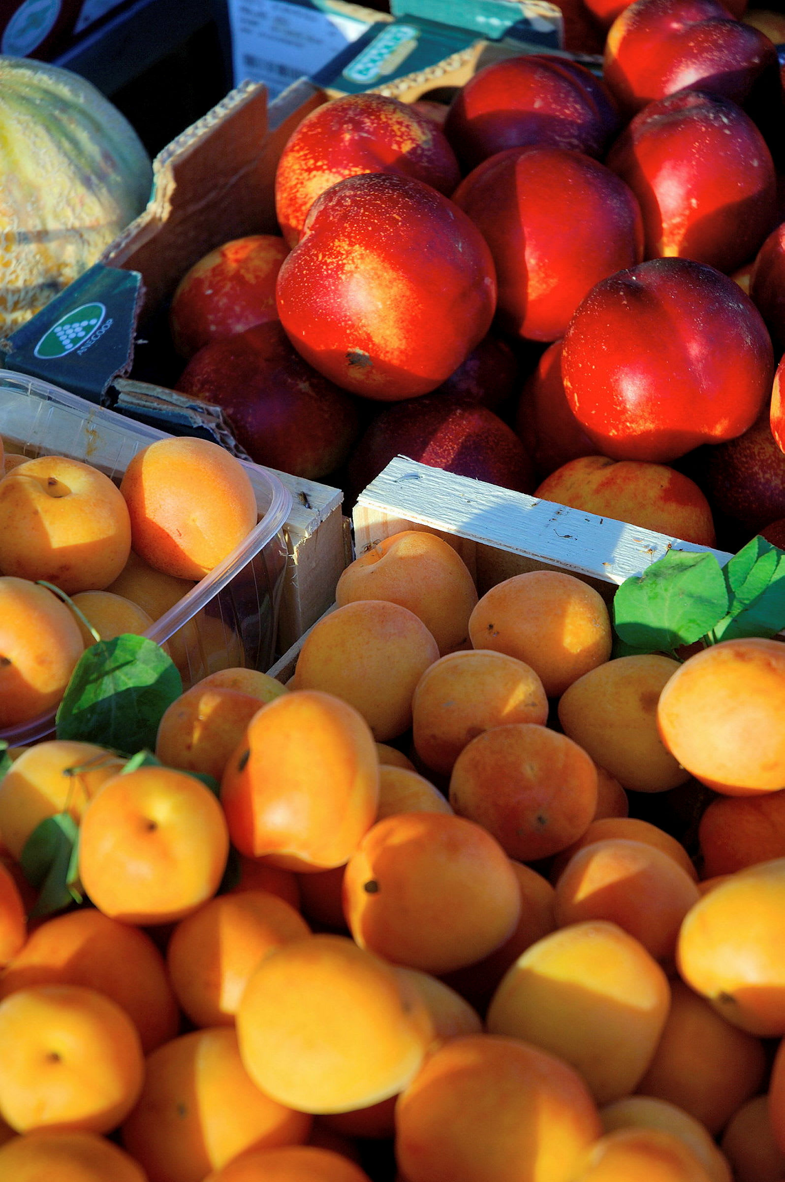 Lådor med färsk frukt, inklusive nektariner och aprikoser. (AI-genererad text)