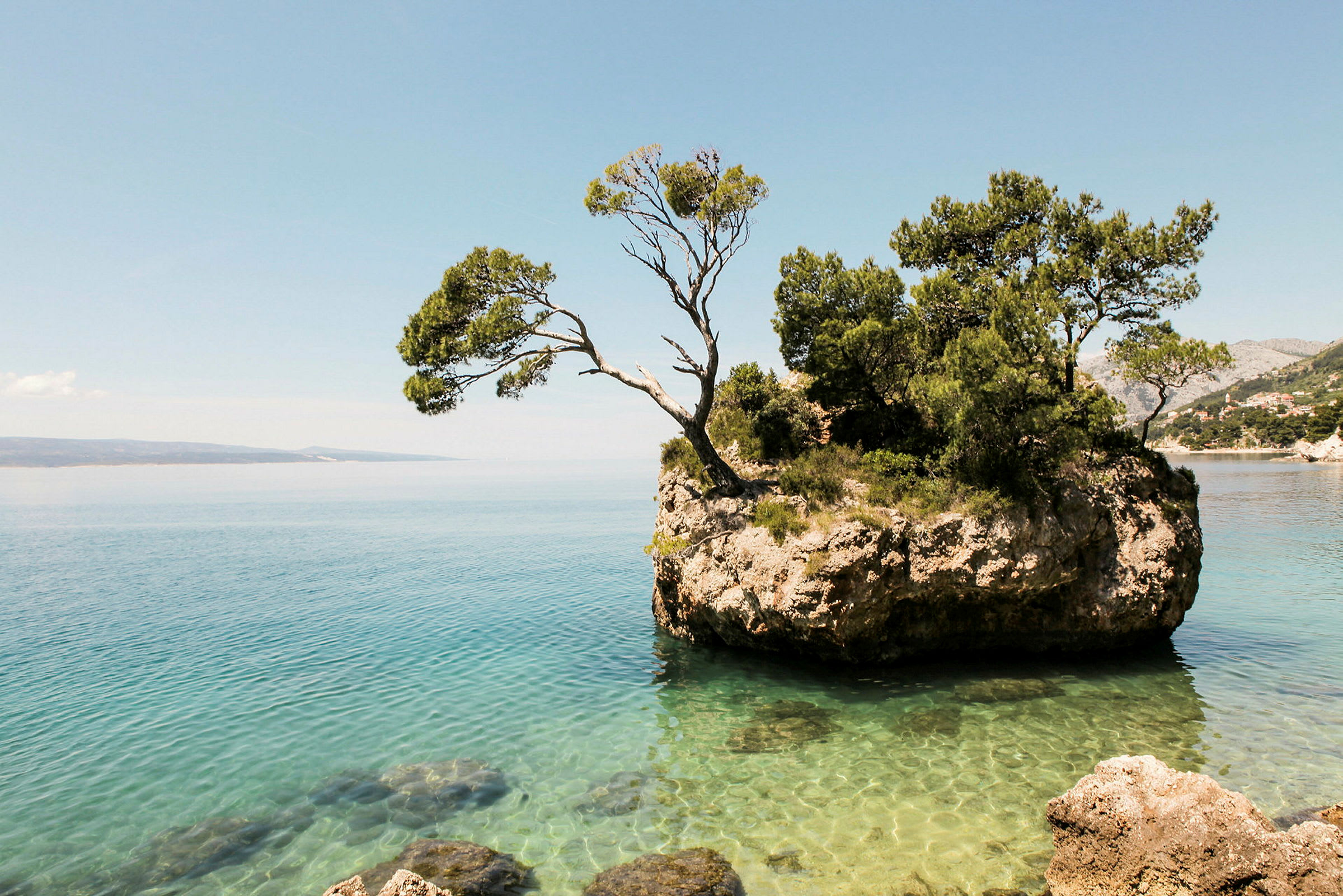 Klippa med träd vid klart havsvatten. (AI-genererad text)