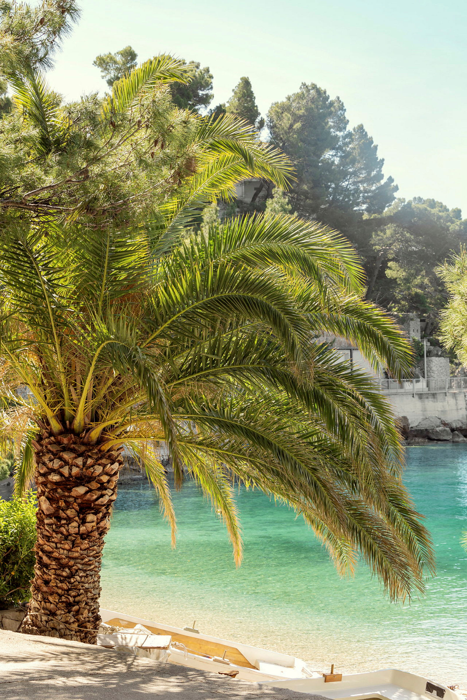 En solbelyst strand med en palm och klart turkost vatten. (AI-genererad text)