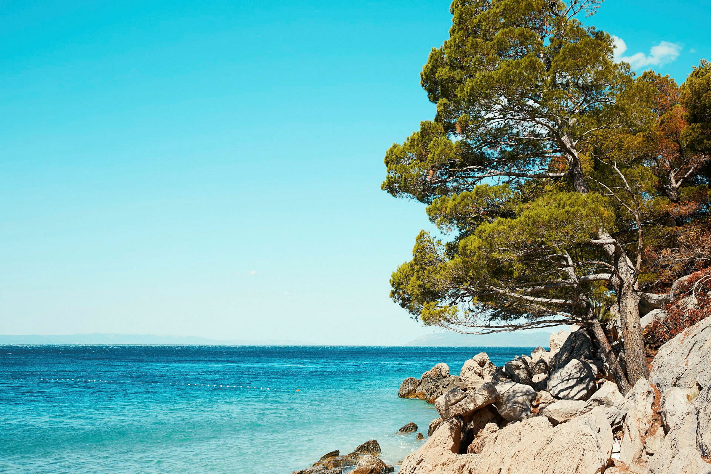 Utsikt över havet med klippor och träd vid kustlinjen. (AI-genererad text)