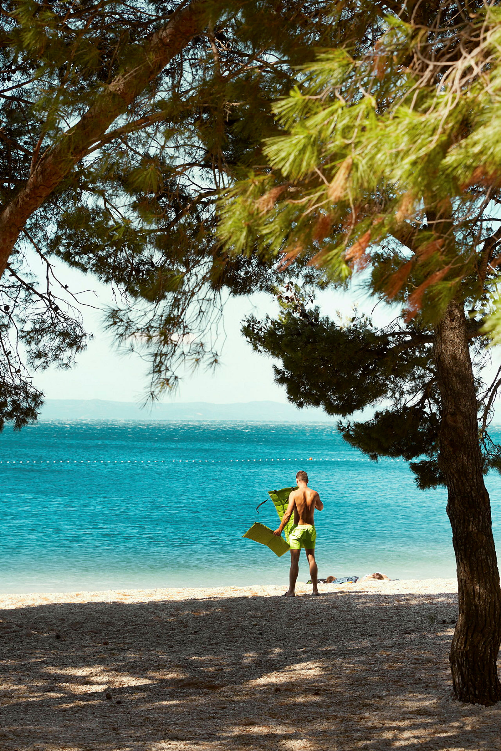 En man står på en strand nära havet med gröna trädgrenar omkring. (AI-genererad text)