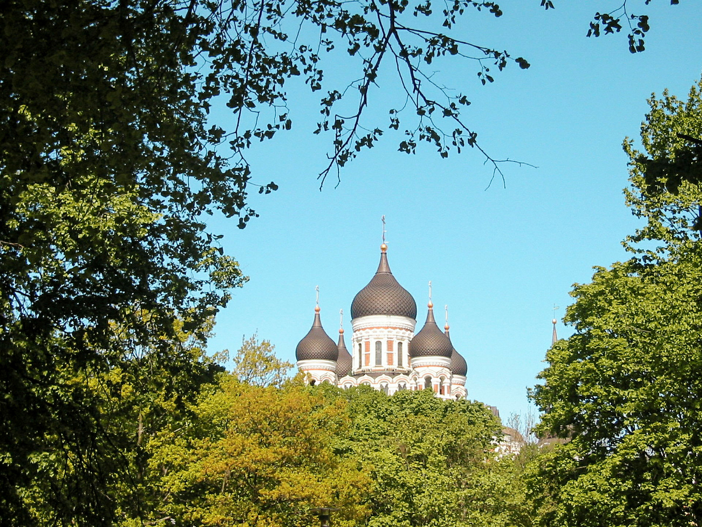 En bild av en ortodox kyrkas kupoler, synliga bland lövverk från omgivande träd. (AI-genererad text)
