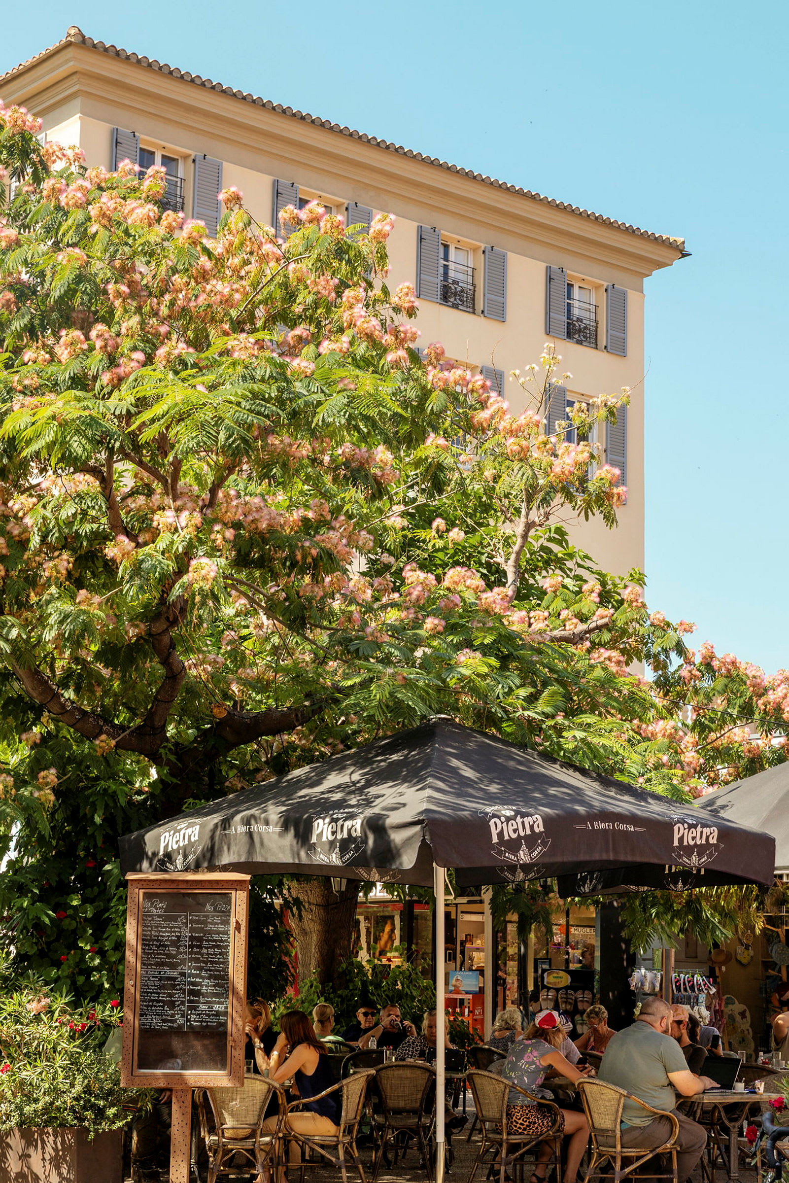 Bild av ett torg med servering under ett träd med rosa blommor. Byggnaden i bakgrunden har blå jalusier. (AI-genererad text)