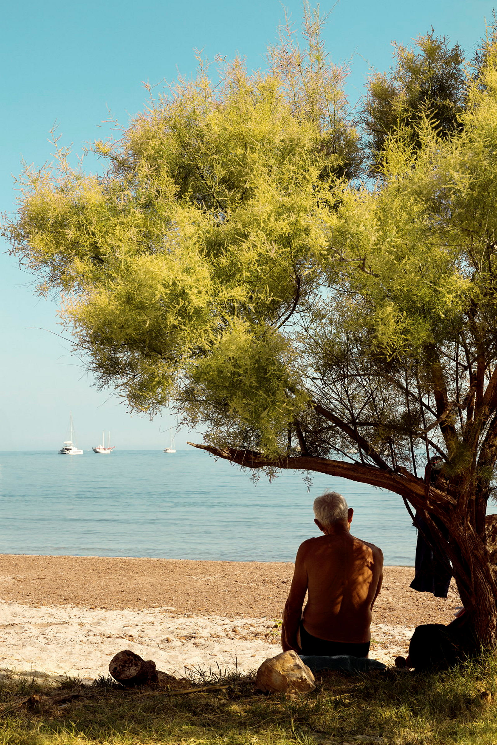 En person sitter under ett träd vid en strand med havet och flera segelbåtar i bakgrunden. (AI-genererad text)
