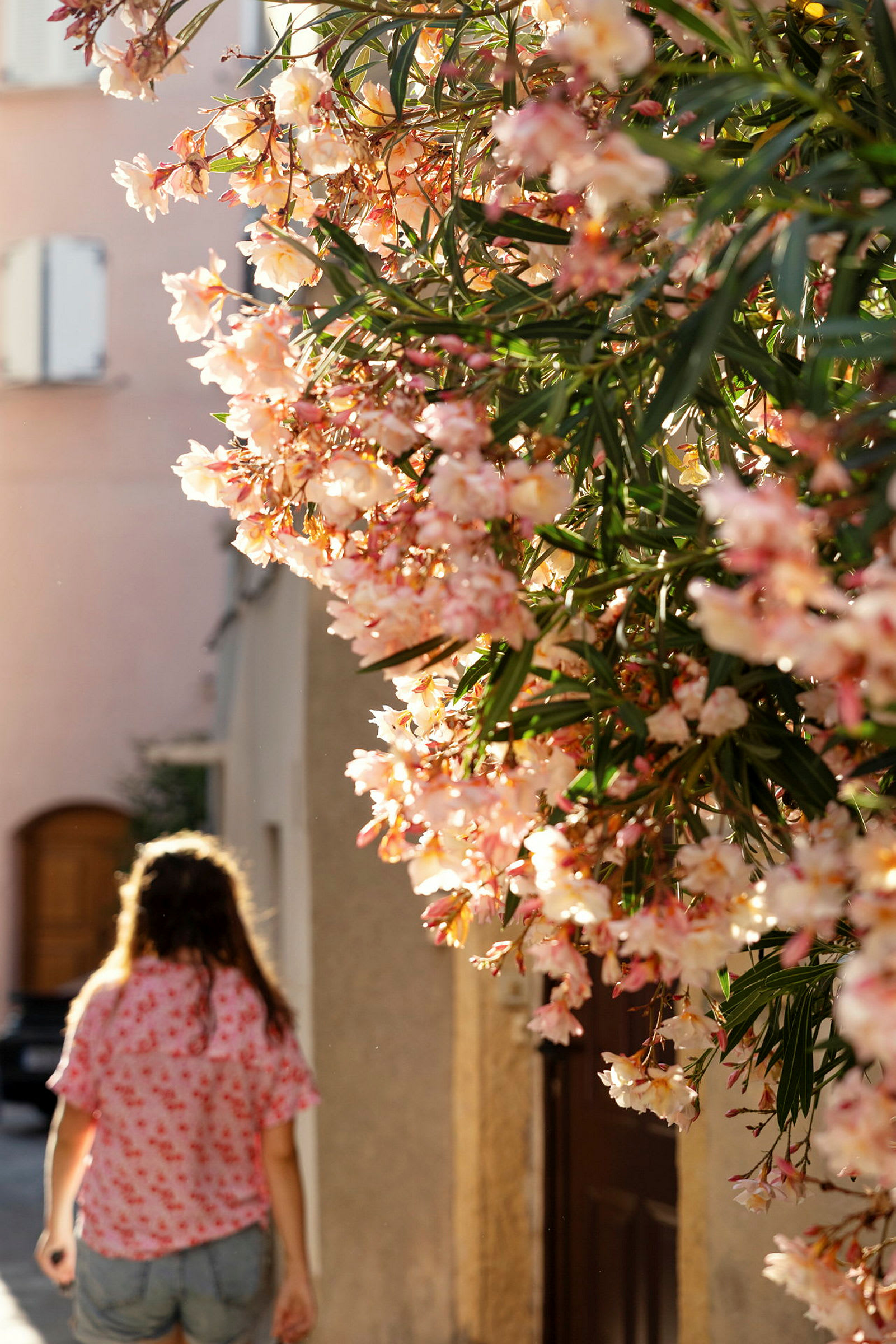 En person går på en gata, med rosa och vita blommor synliga i förgrunden. (AI-genererad text)