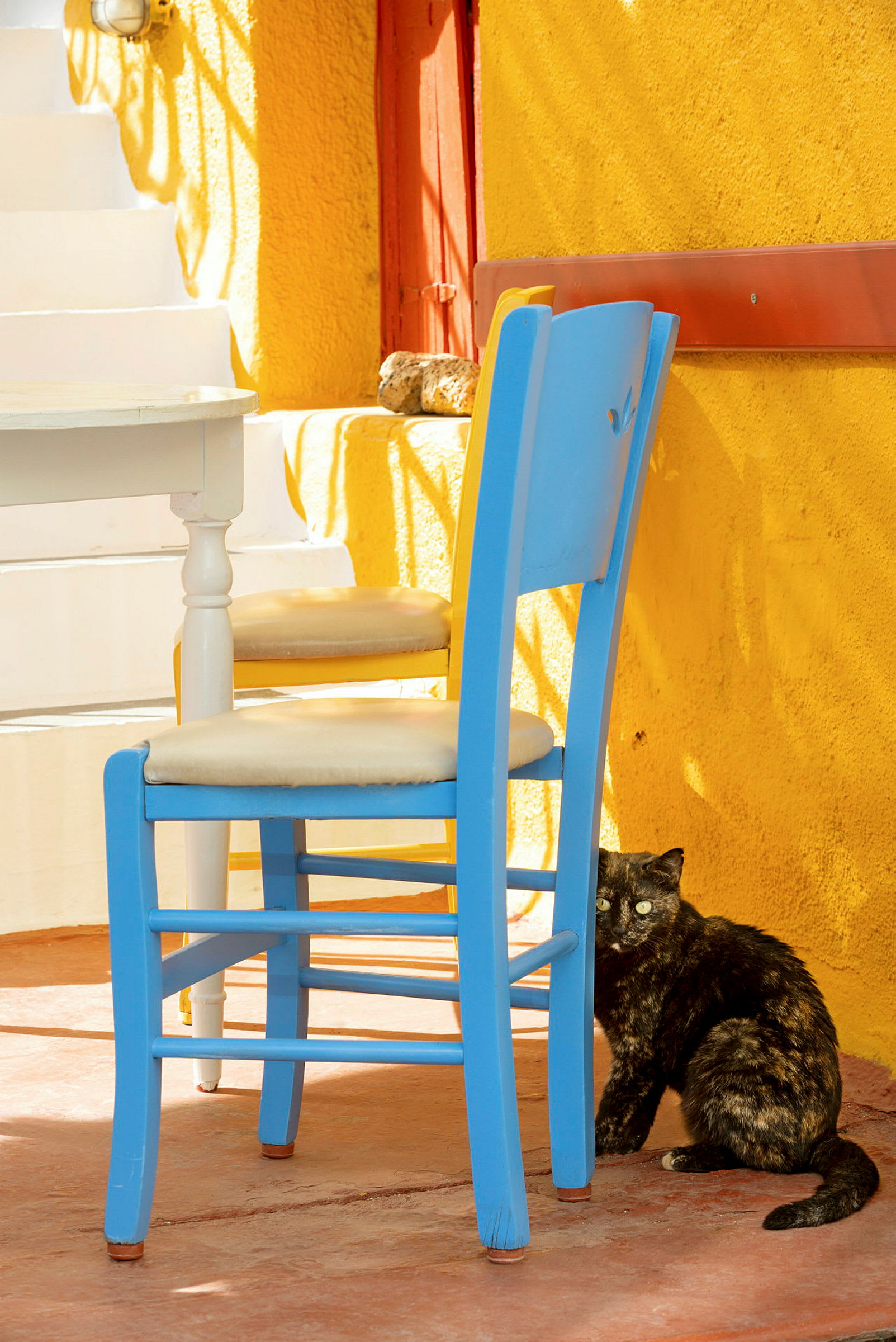 En katt sitter bredvid en blå stol och en gul vägg. (AI-genererad text)