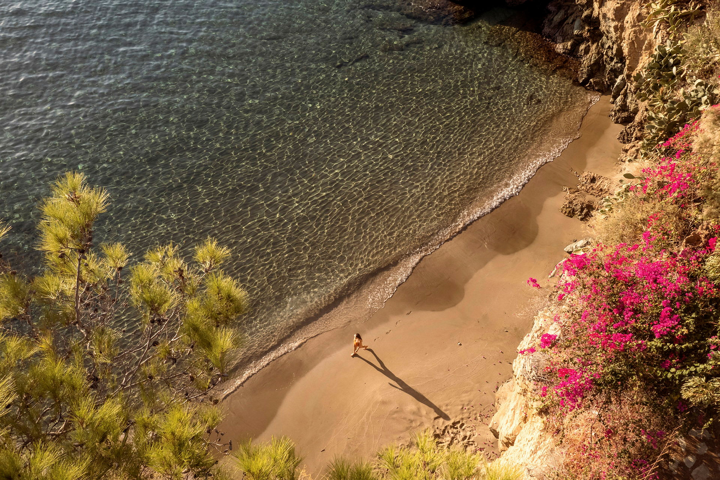 Utsikt över en liten strand med klart vatten, sand och en person som går. Färgglada blommor och växter syns vid sidan av stranden. (AI-genererad text)