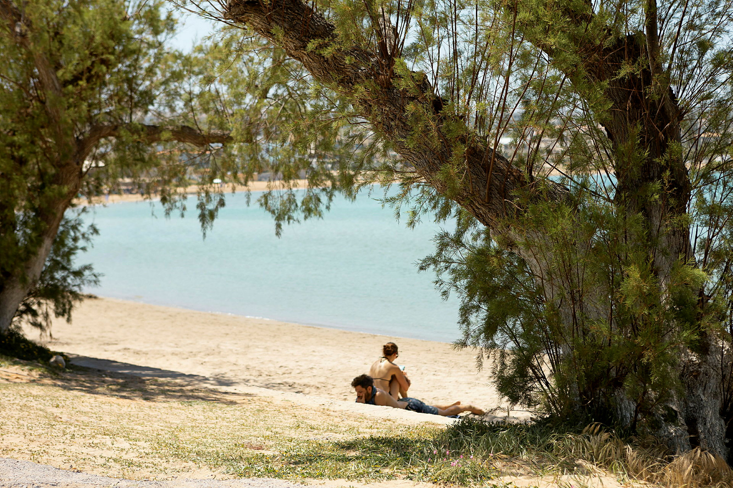 Strandkant med klart vatten och träd i förgrunden. (AI-genererad text)