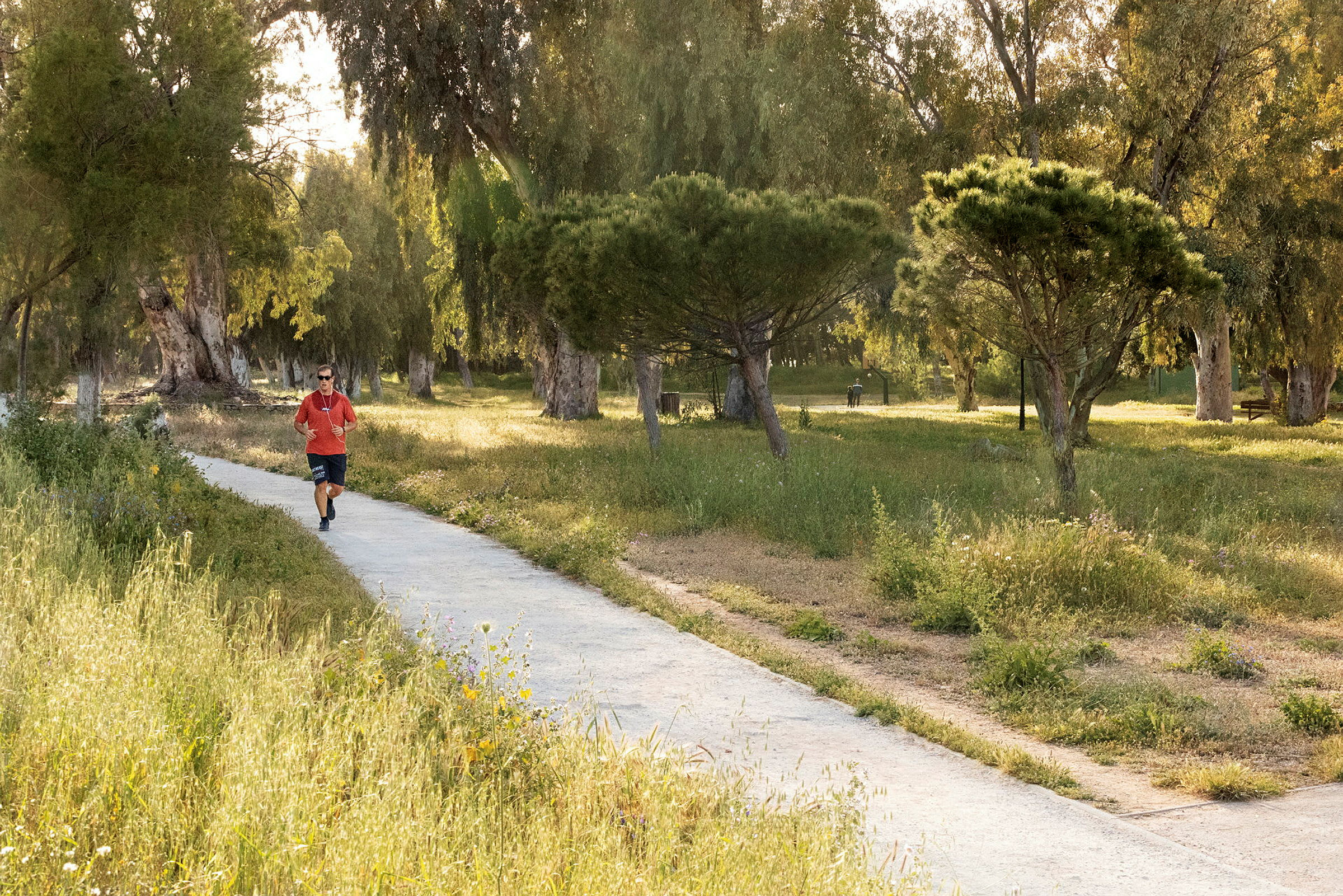 En person joggar på en gångväg genom en park med gräs och träd. (AI-genererad text)